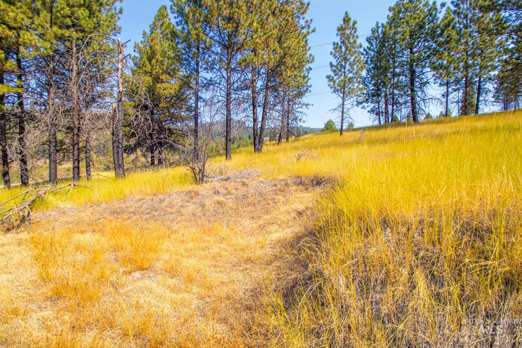 0 Summitview Dr, Ahsahka, Idaho 83520, Land For Sale, Price $290,000, 98960651