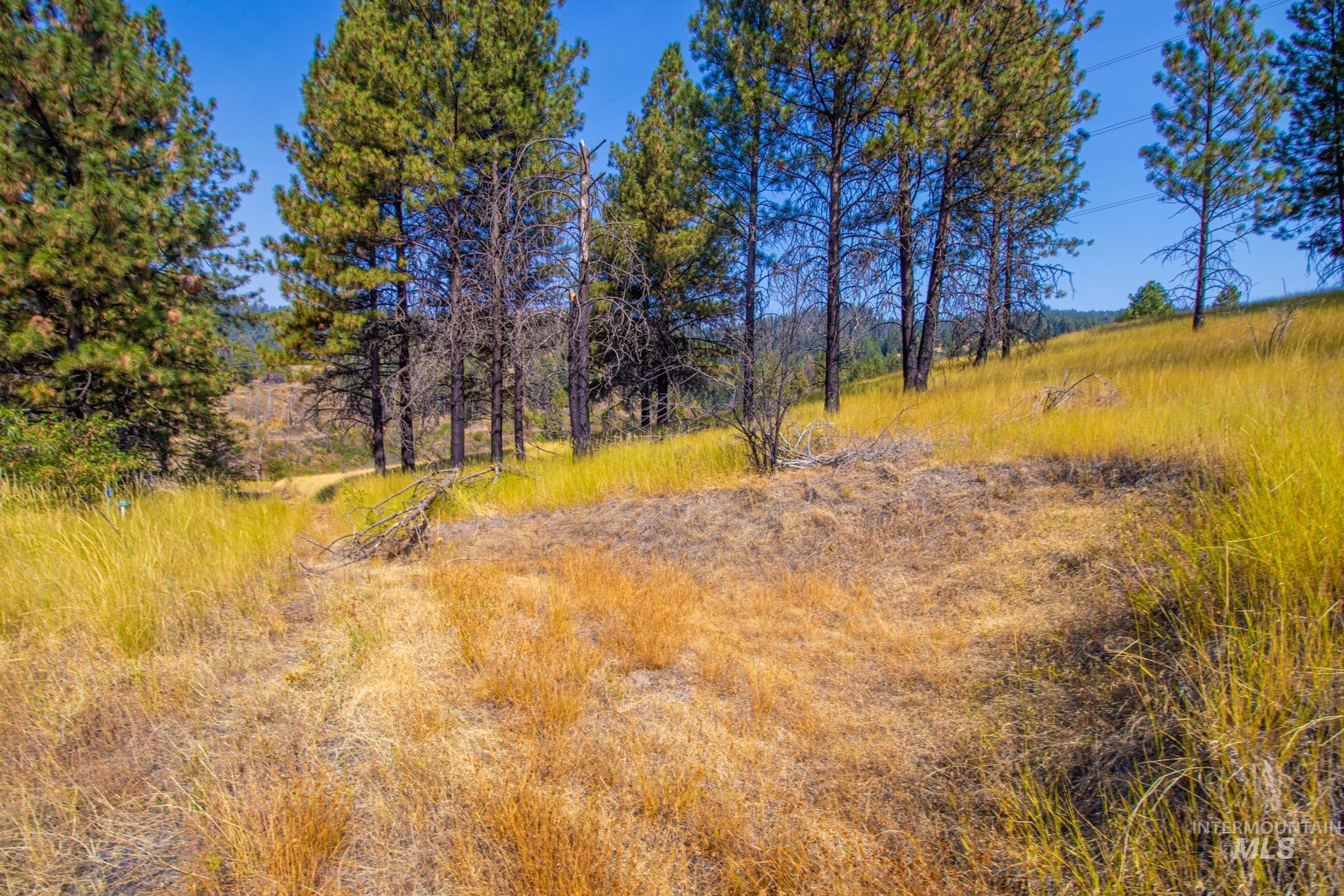 0 Summitview Dr, Ahsahka, Idaho 83520, Land For Sale, Price $290,000, 98960651