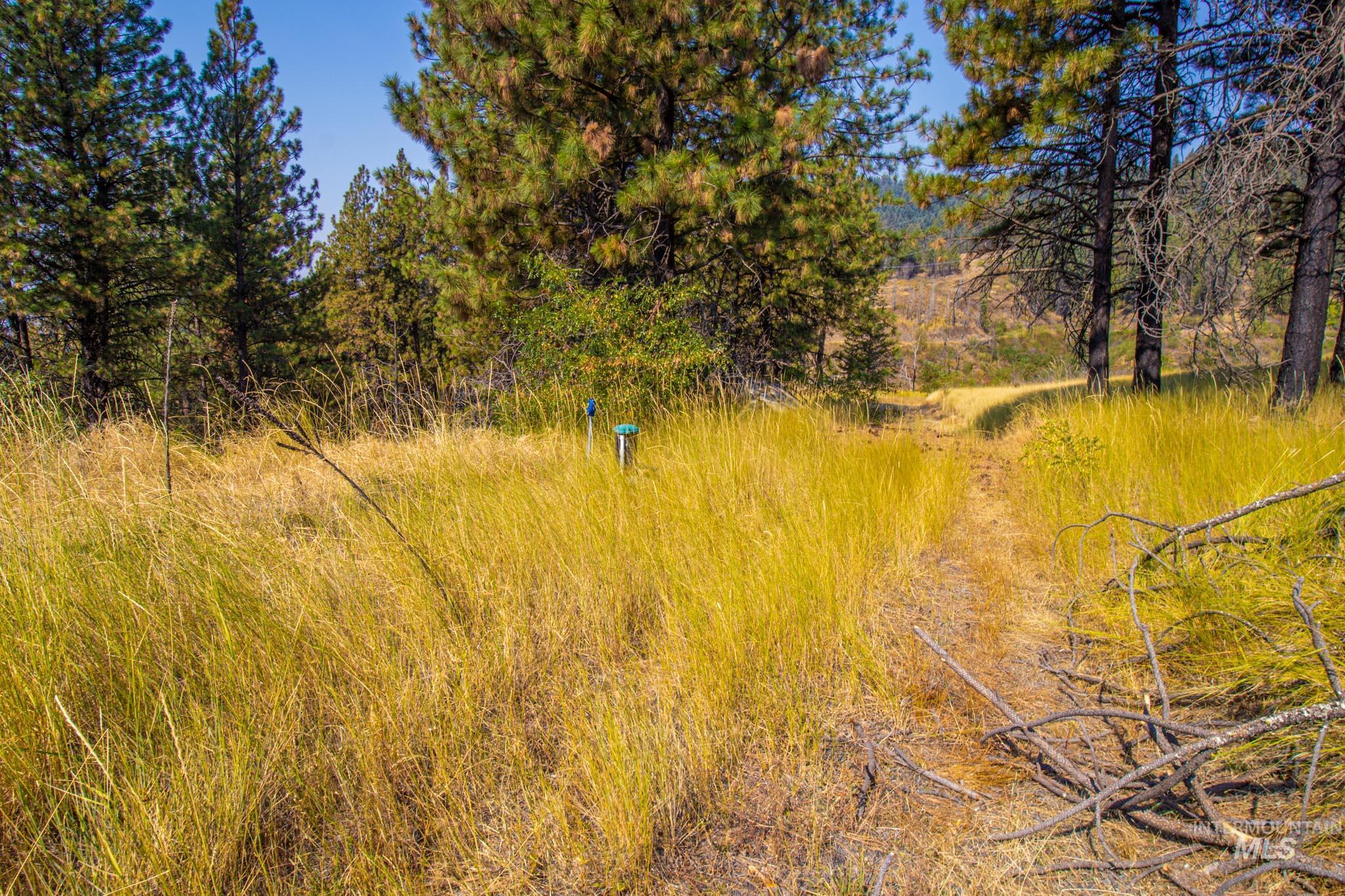 0 Summitview Dr, Ahsahka, Idaho 83520, Land For Sale, Price $290,000, 98960651