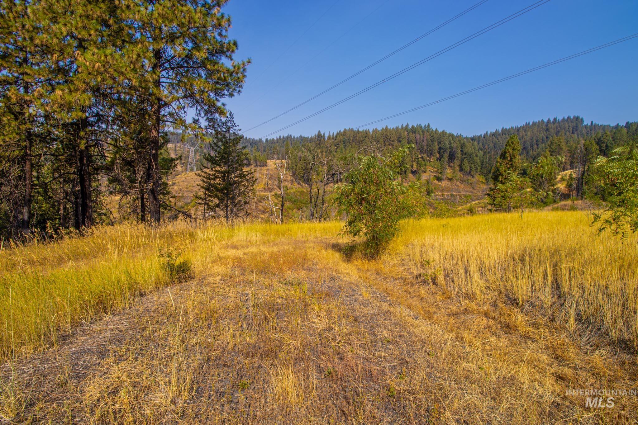 0 Summitview Dr, Ahsahka, Idaho 83520, Land For Sale, Price $290,000, 98960651