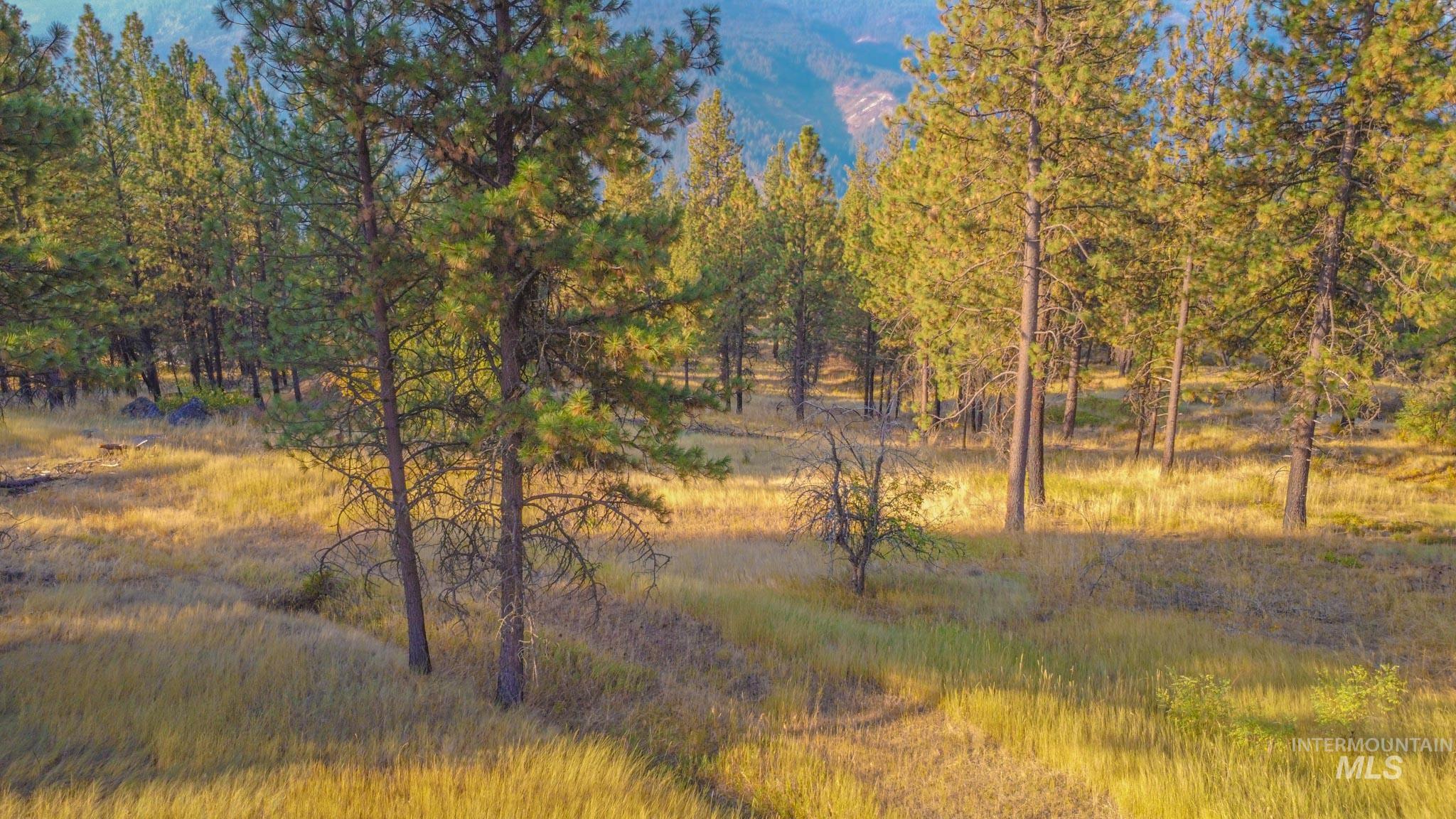 0 Summitview Dr, Ahsahka, Idaho 83520, Land For Sale, Price $290,000, 98960651