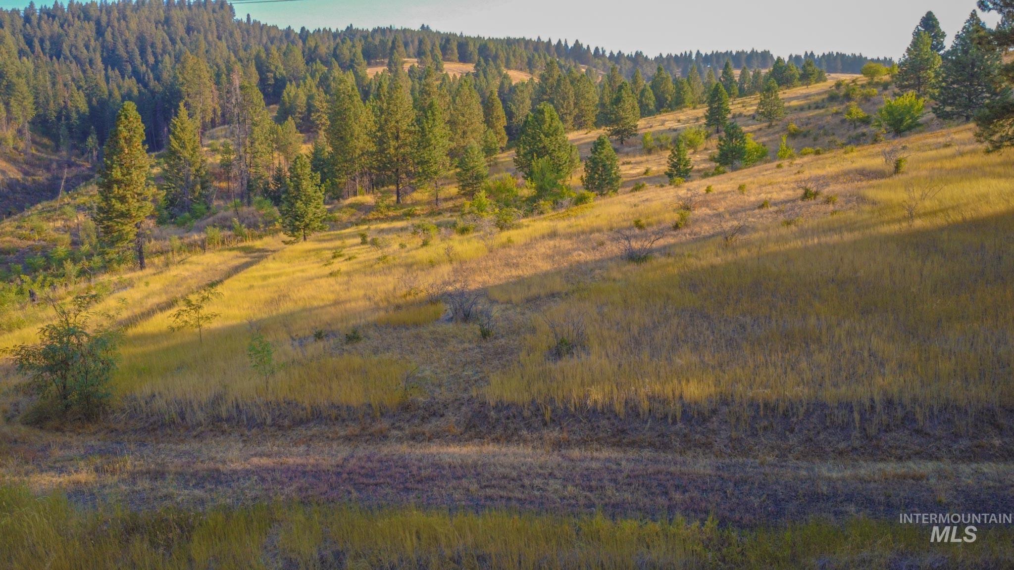 0 Summitview Dr, Ahsahka, Idaho 83520, Land For Sale, Price $290,000, 98960651