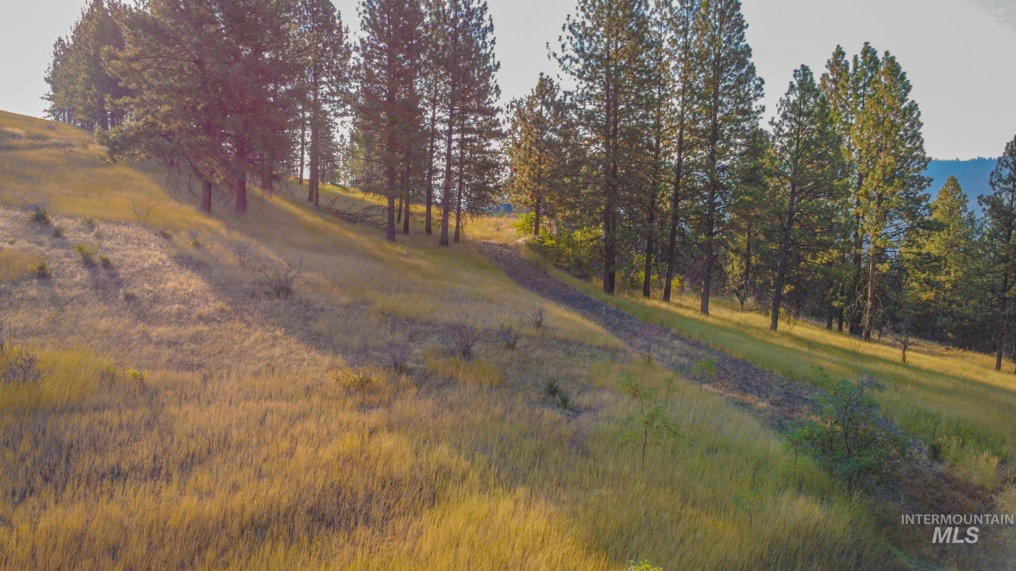 0 Summitview Dr, Ahsahka, Idaho 83520, Land For Sale, Price $290,000, 98960651