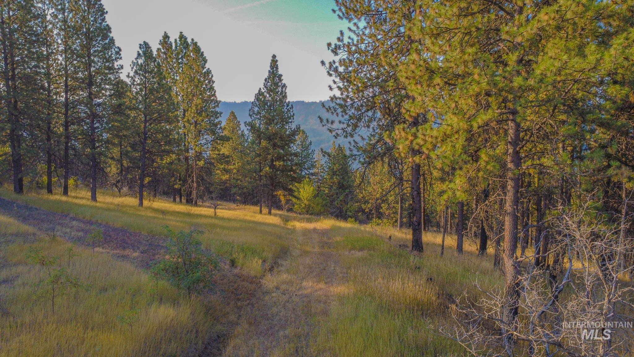 0 Summitview Dr, Ahsahka, Idaho 83520, Land For Sale, Price $290,000, 98960651