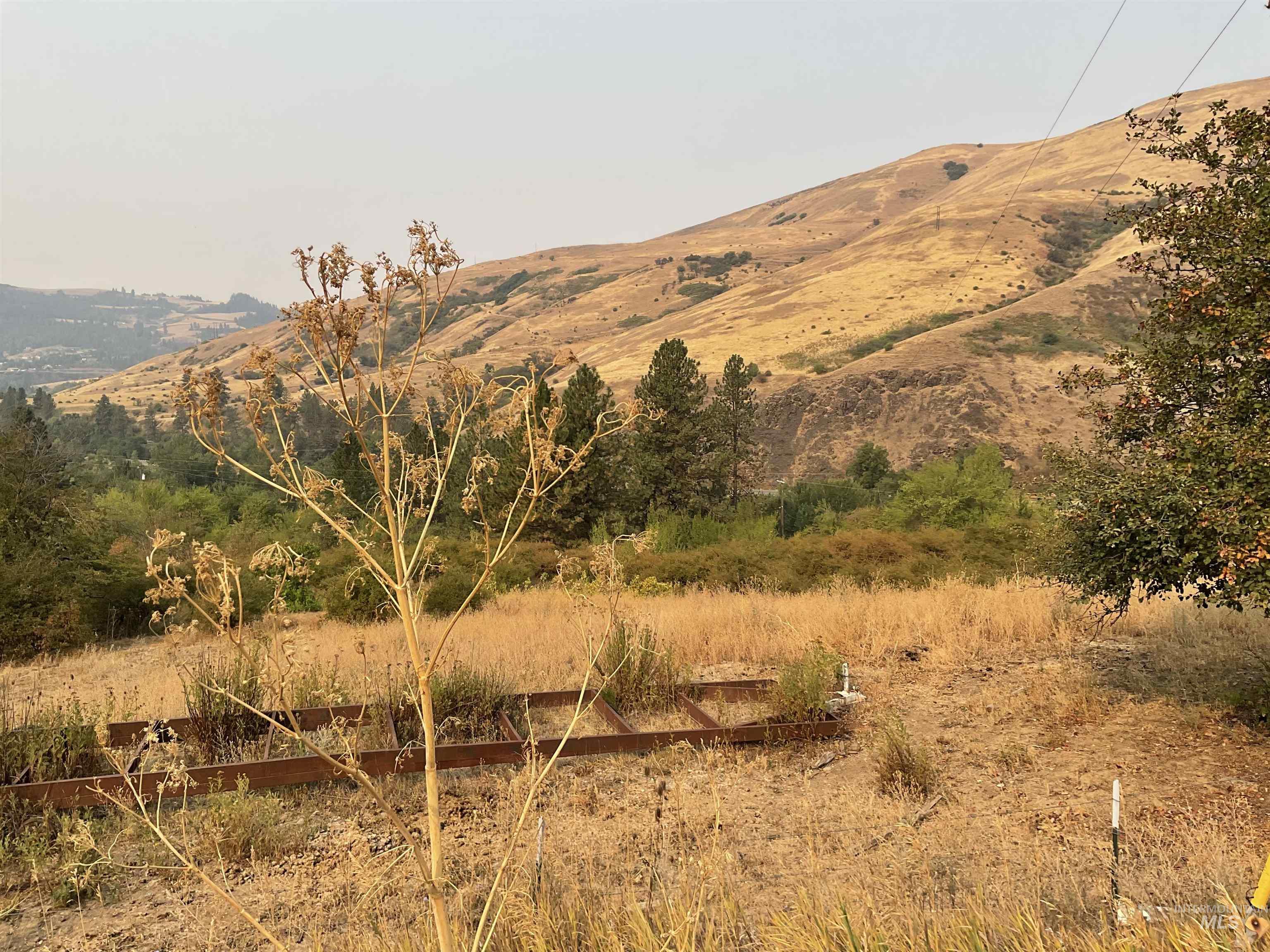 13790 Cross Farm Rd, Juliaetta, Idaho 83535, Land For Sale, Price $150,000,MLS 98960683