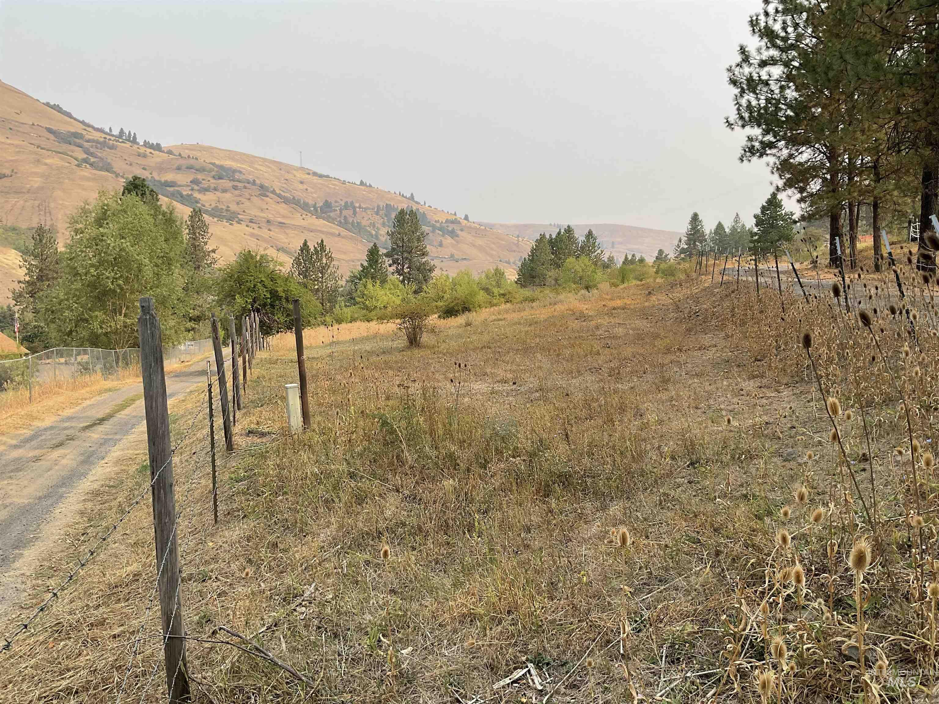 13790 Cross Farm Rd, Juliaetta, Idaho 83535, Land For Sale, Price $150,000,MLS 98960683