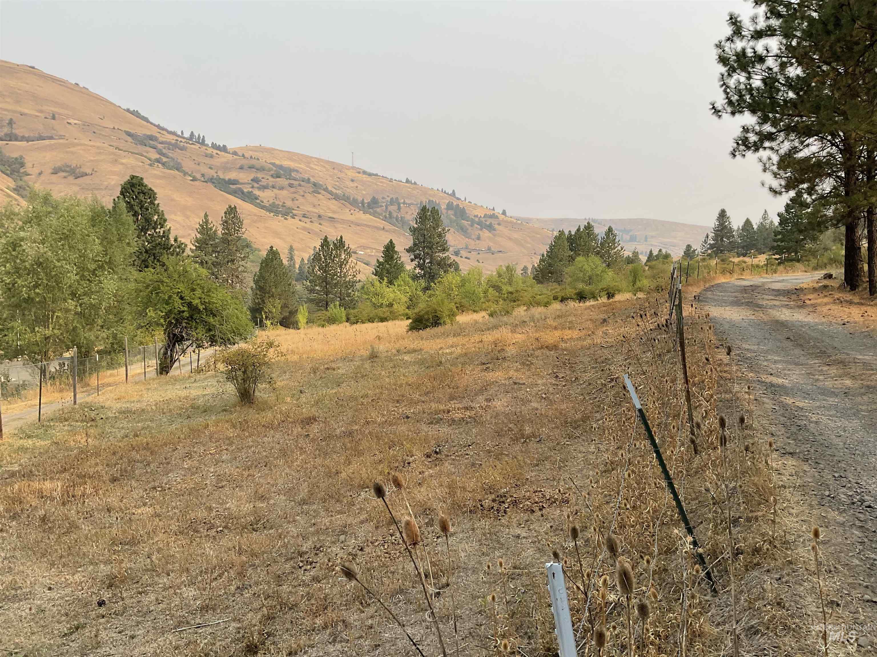 13790 Cross Farm Rd, Juliaetta, Idaho 83535, Land For Sale, Price $150,000,MLS 98960683