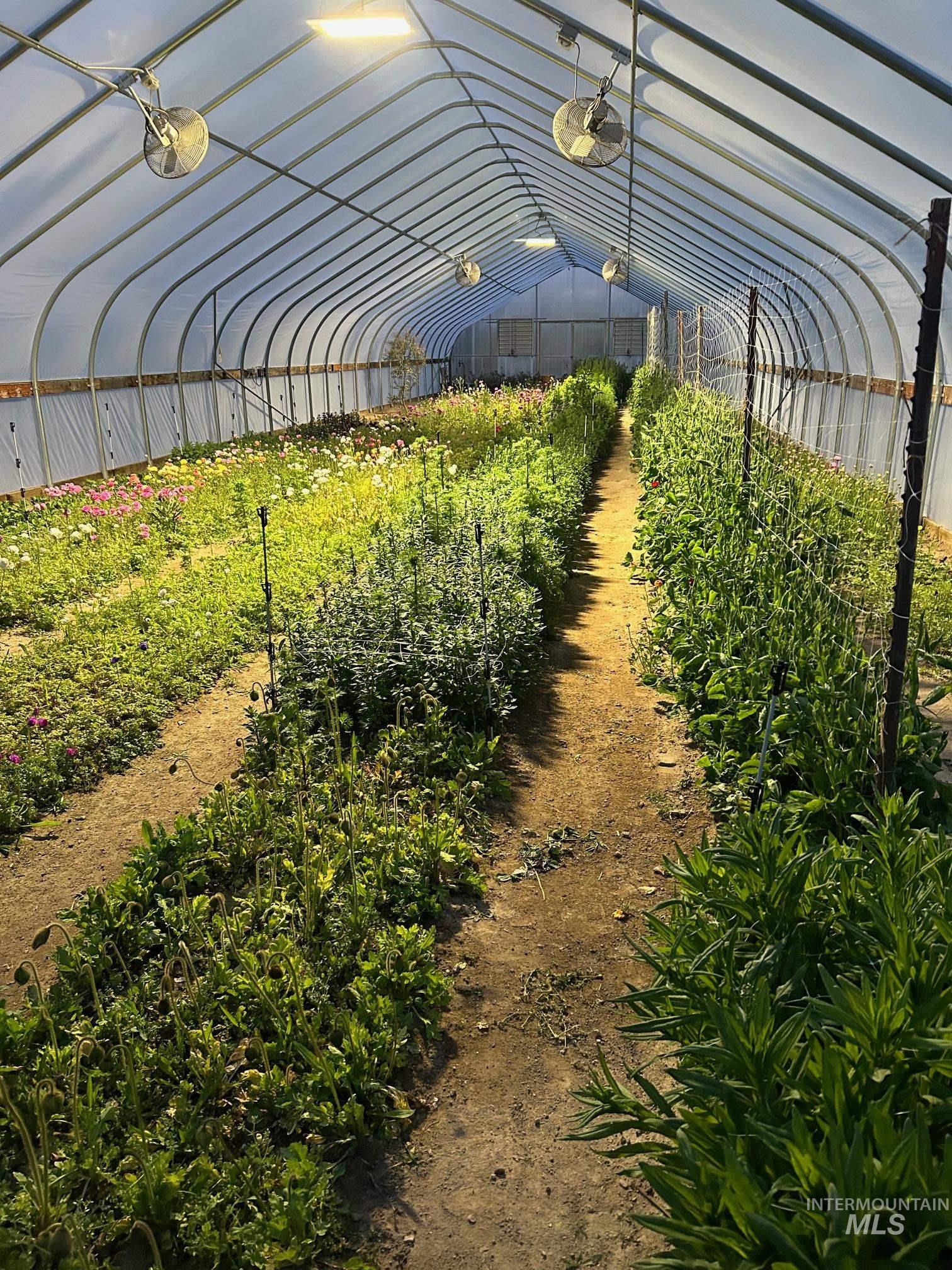 5940 SE 4th Ave, New Plymouth, Idaho 83655, 3 Bedrooms, 2 Bathrooms, Farm & Ranch For Sale, Price $1,175,000,MLS 98960712