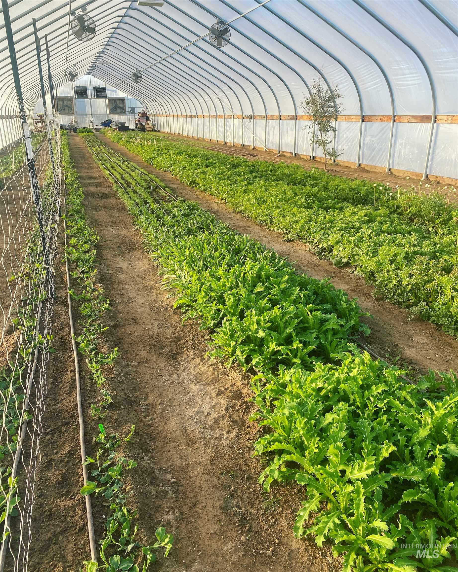 5940 SE 4th Ave, New Plymouth, Idaho 83655, 3 Bedrooms, 2 Bathrooms, Farm & Ranch For Sale, Price $1,175,000,MLS 98960712