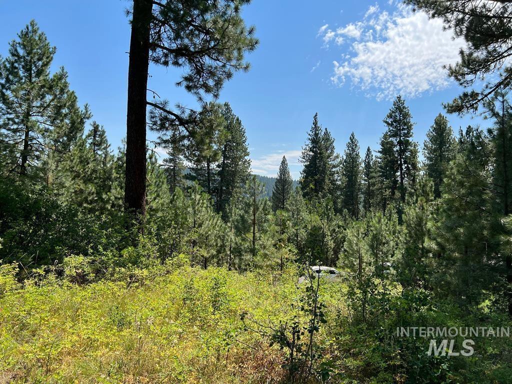 13033 Leland Dr, Donnelly, Idaho 83615, Land For Sale, Price $172,900,MLS 98960785