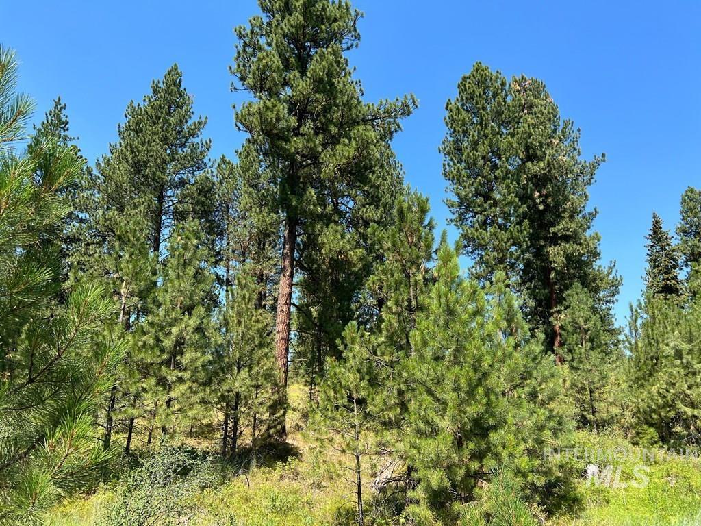 13033 Leland Dr, Donnelly, Idaho 83615, Land For Sale, Price $172,900,MLS 98960785