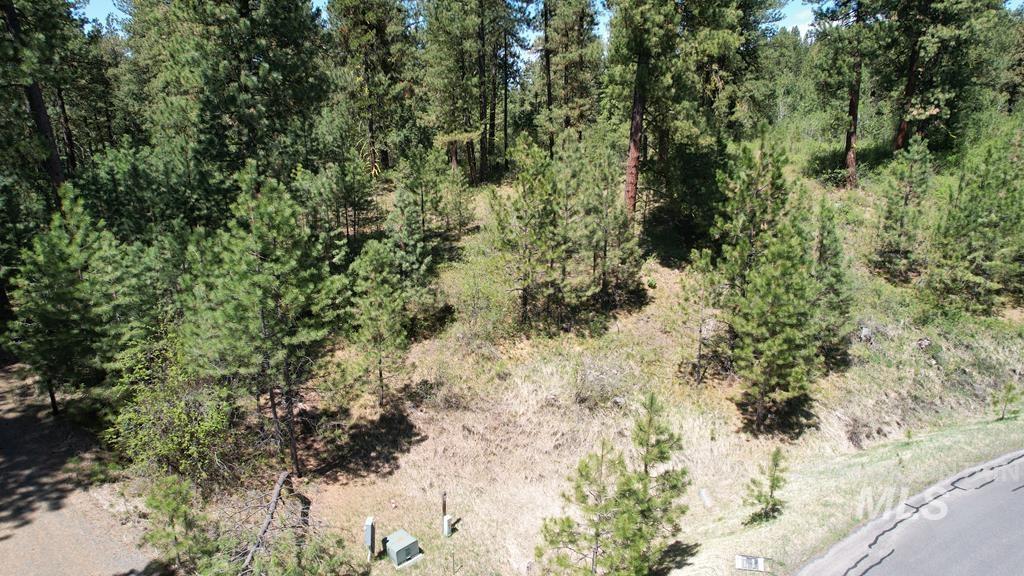 13033 Leland Dr, Donnelly, Idaho 83615, Land For Sale, Price $172,900,MLS 98960785