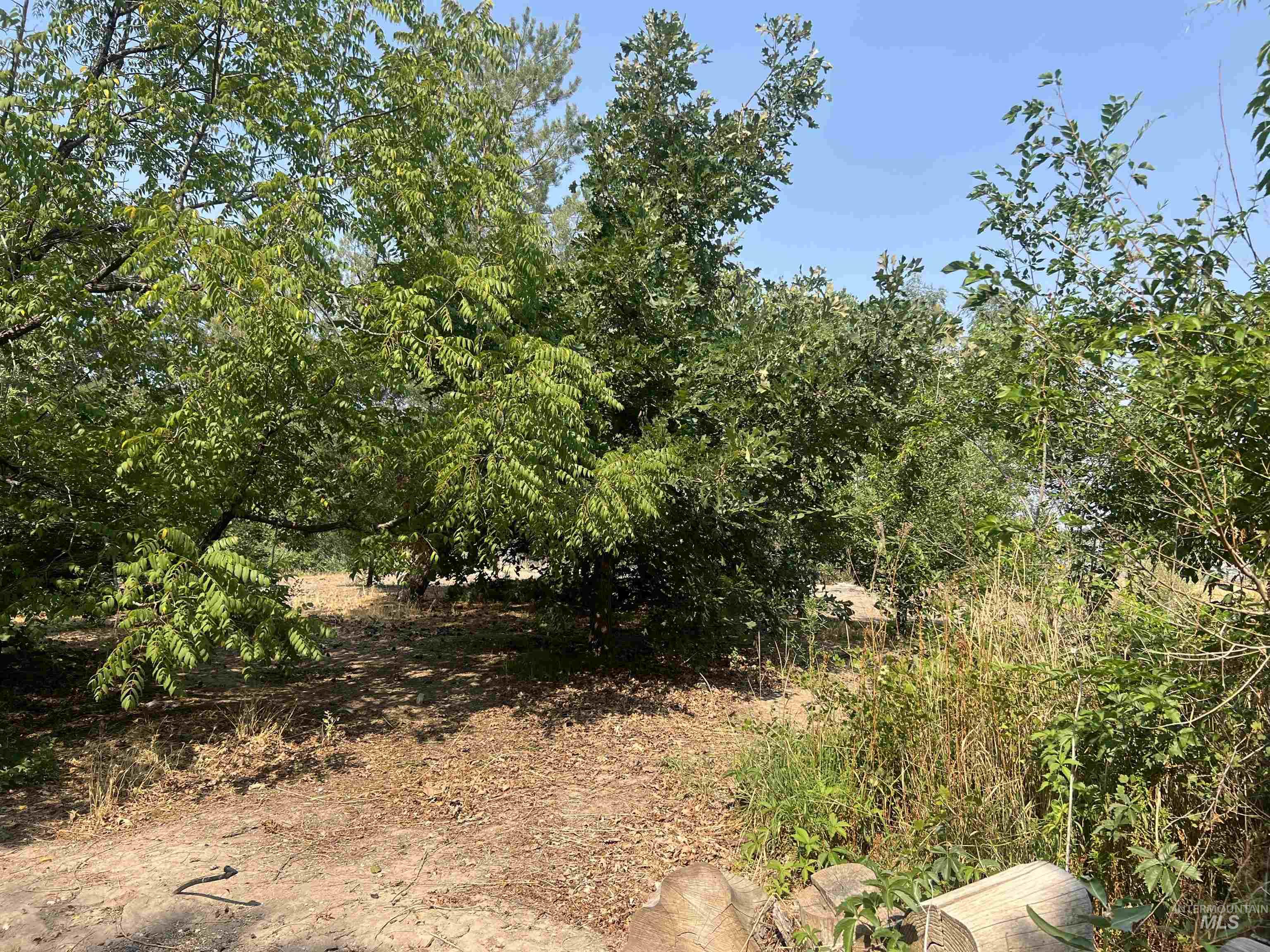 919 & 921 S. Fir, Jerome, Idaho 83338, 2 Bedrooms, 2 Bathrooms, Residential For Sale, Price $399,900, 98960963