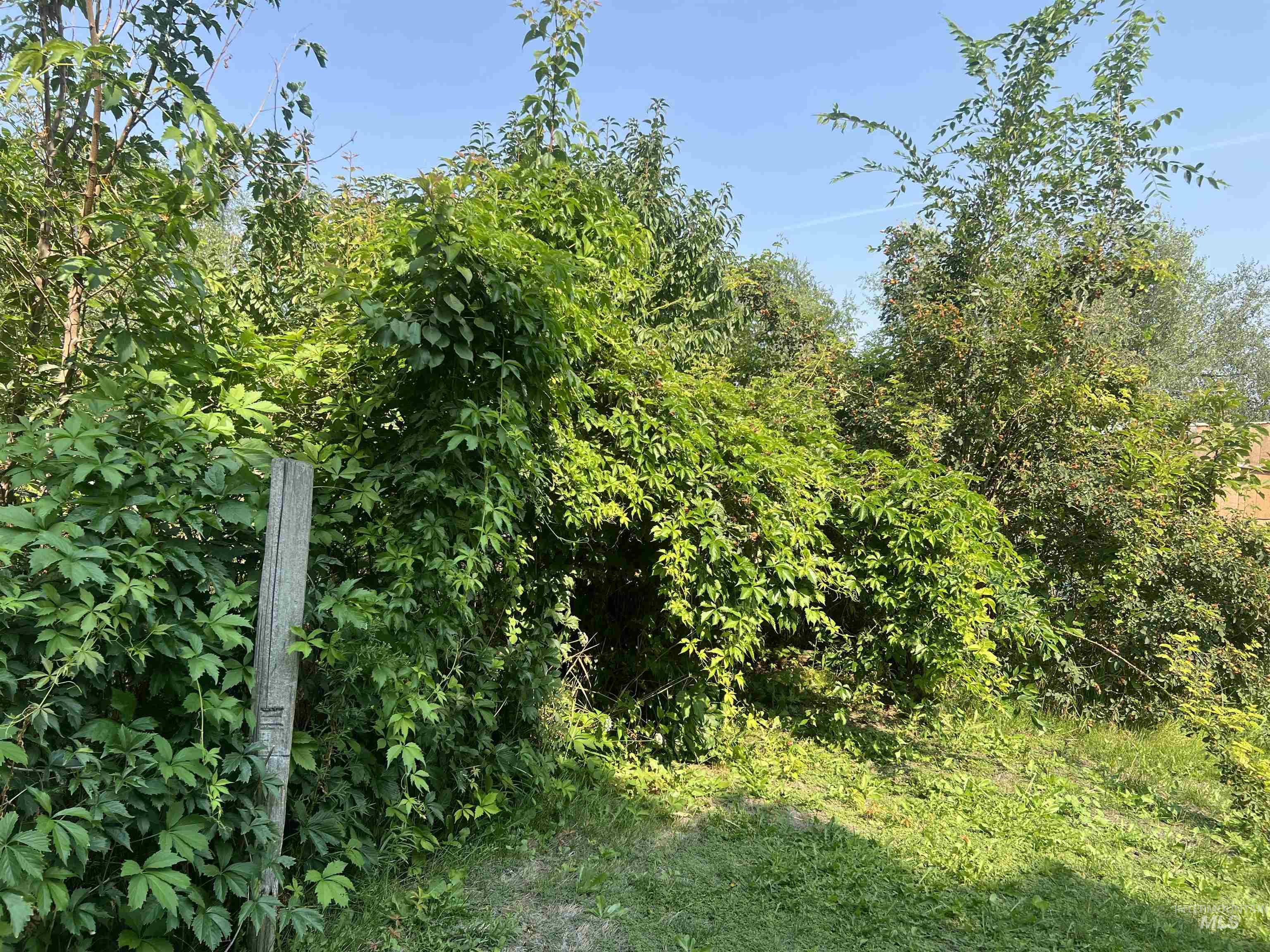 919 & 921 S. Fir, Jerome, Idaho 83338, 2 Bedrooms, 2 Bathrooms, Residential For Sale, Price $399,900, 98960963