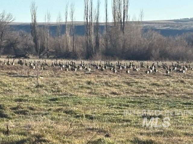 2925 S 1050 E, Hagerman, Idaho 83332, Land For Sale, Price $1,363,200,MLS 98960989