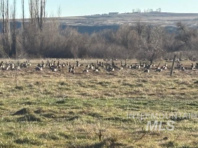2925 S 1050 E, Hagerman, Idaho 83332, Land For Sale, Price $1,363,200,MLS 98960989