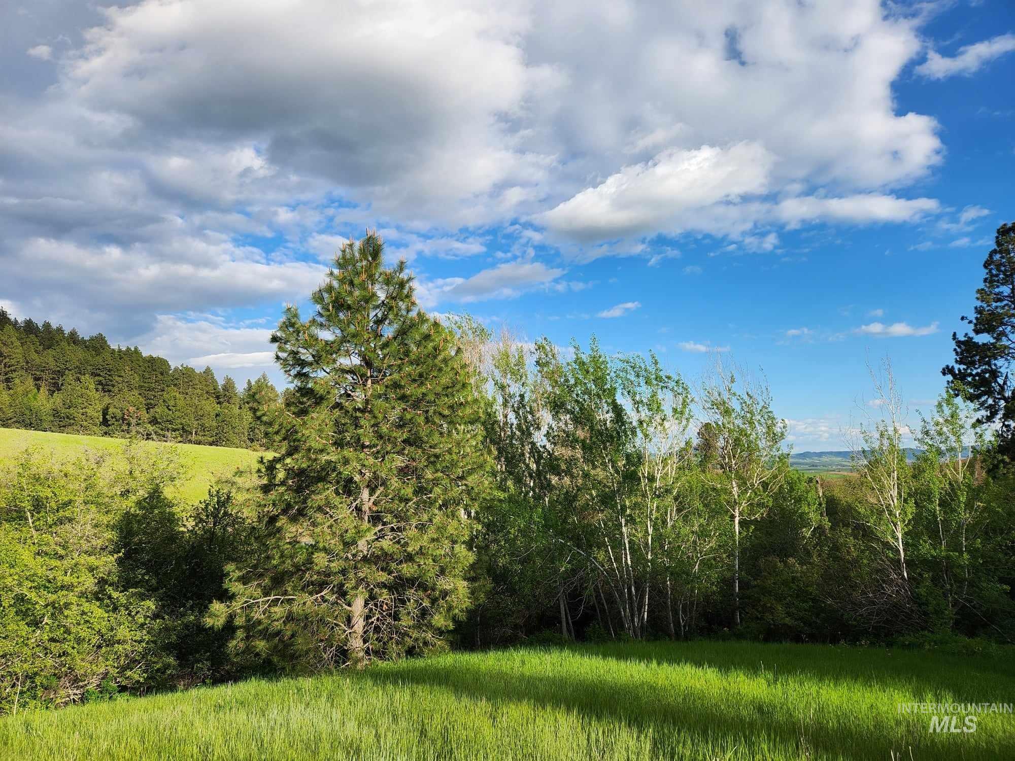 TBD Ken Trail, Moscow, Idaho 83843, Land For Sale, Price $230,000,MLS 98961067