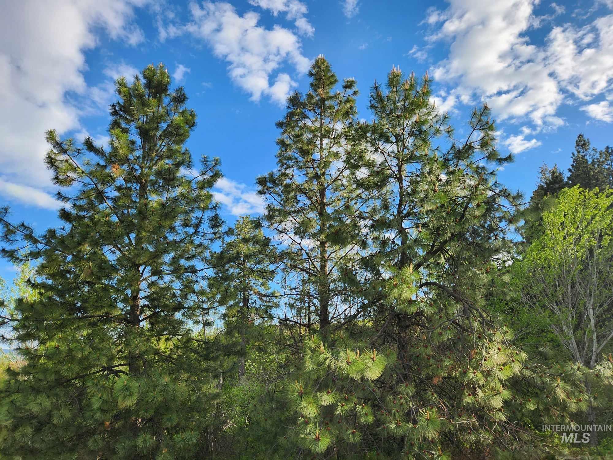 TBD Ken Trail, Moscow, Idaho 83843, Land For Sale, Price $230,000,MLS 98961067