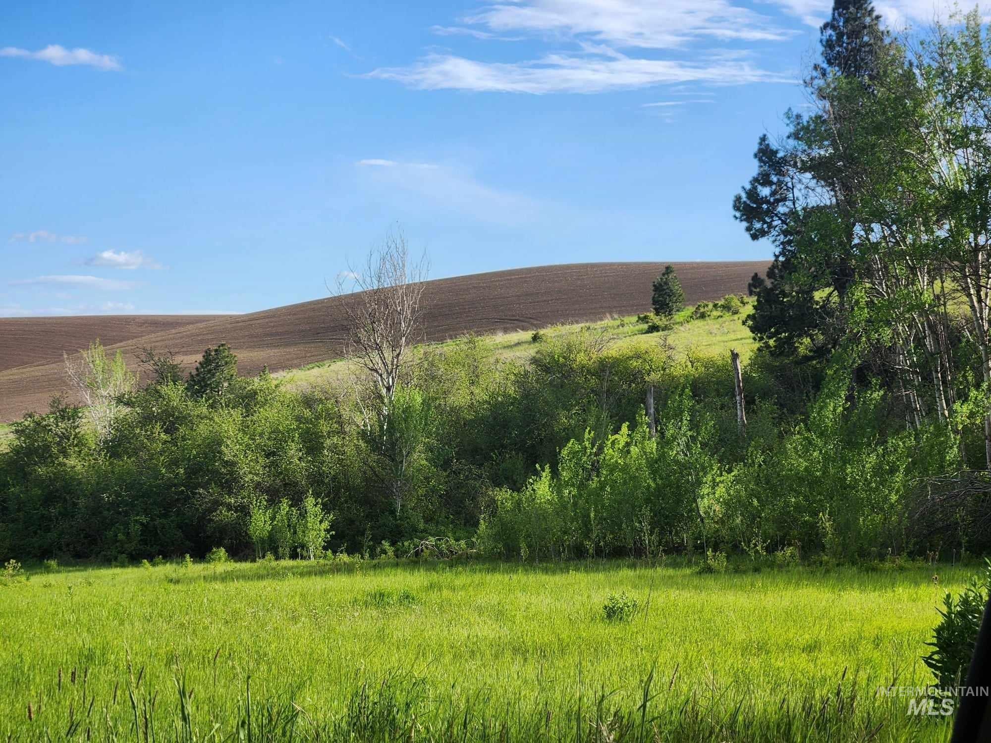 TBD Ken Trail, Moscow, Idaho 83843, Land For Sale, Price $230,000,MLS 98961067