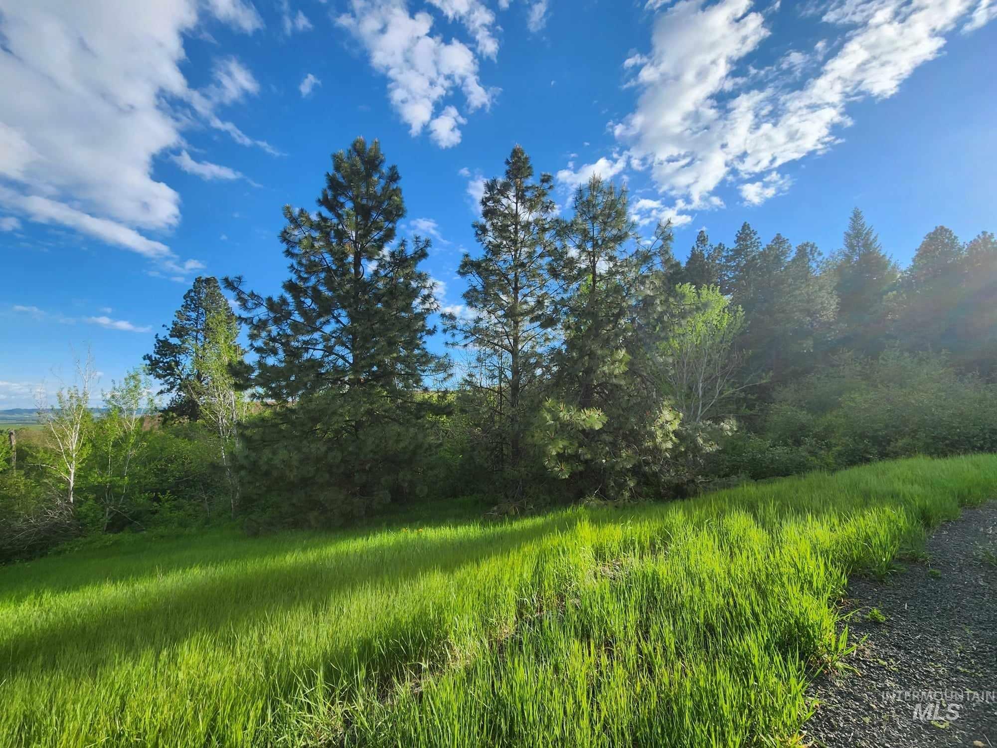 TBD Ken Trail, Moscow, Idaho 83843, Land For Sale, Price $230,000,MLS 98961067