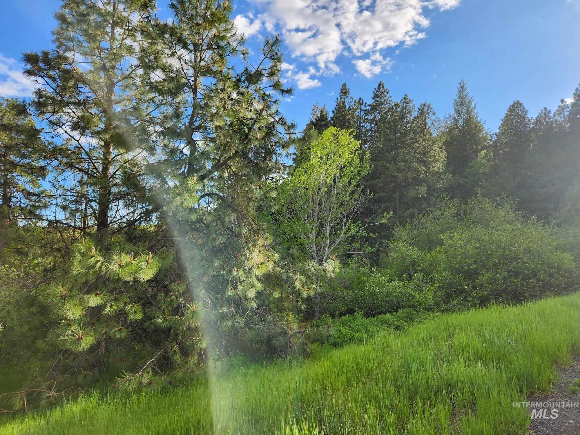 TBD Ken Trail, Moscow, Idaho 83843, Land For Sale, Price $230,000,MLS 98961067