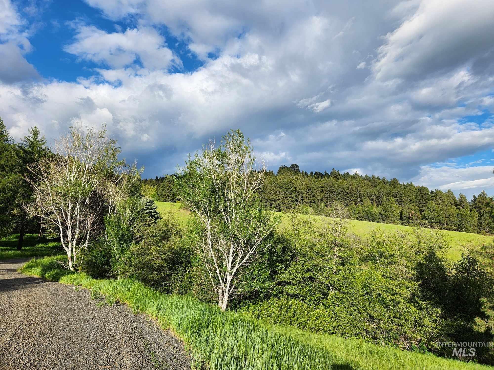 TBD Ken Trail, Moscow, Idaho 83843, Land For Sale, Price $230,000,MLS 98961067