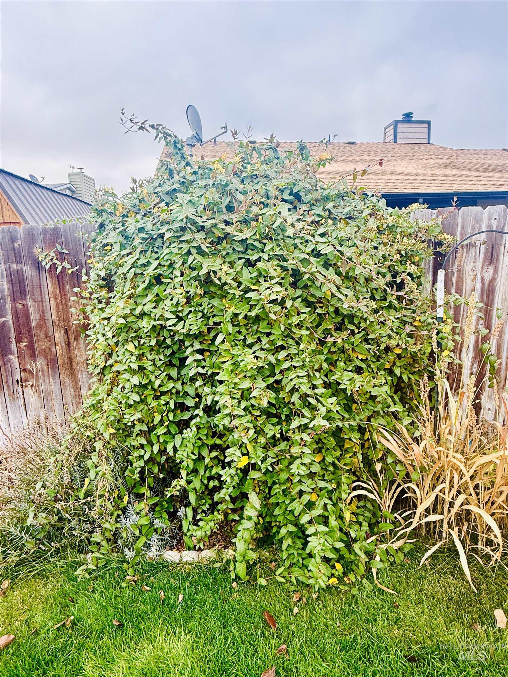 1730 Castle Way, Mountain Home, Idaho 83647, 3 Bedrooms, 2.5 Bathrooms, Residential For Sale, Price $389,900, 98961272