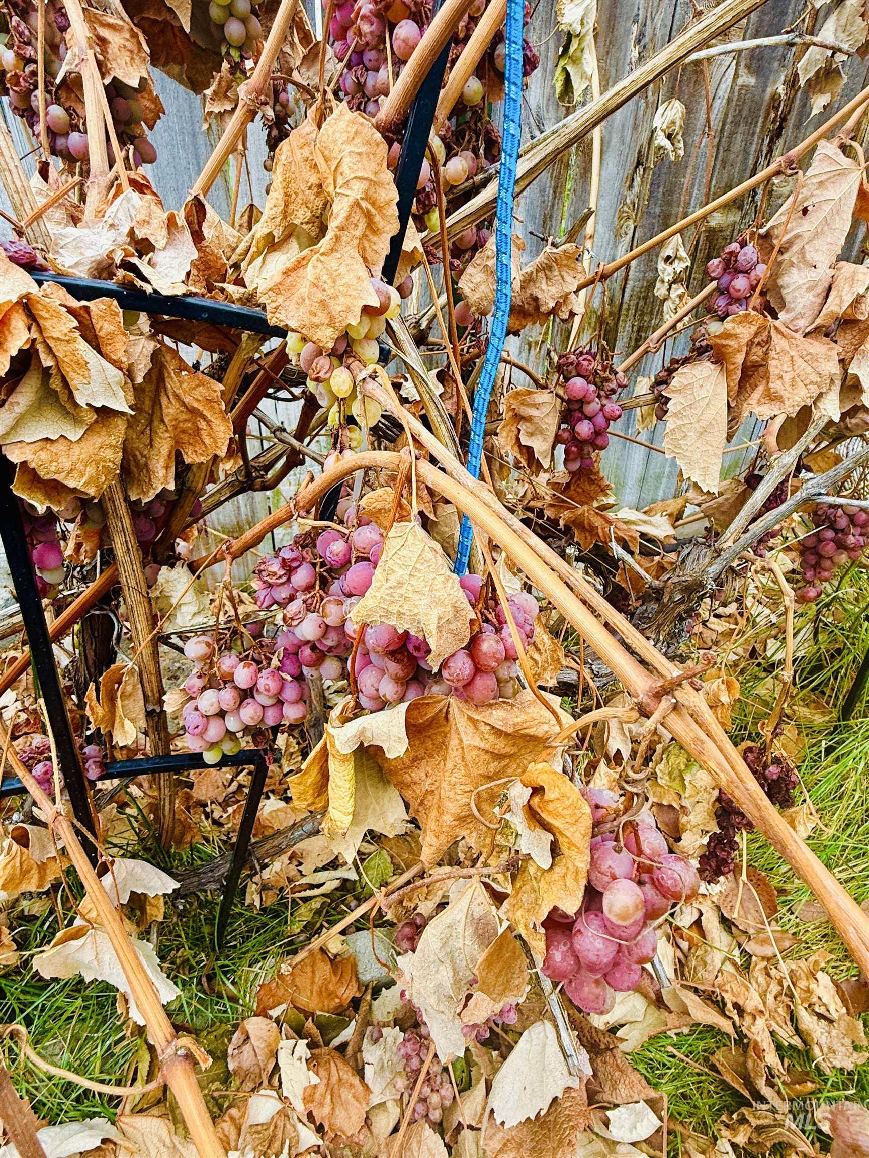 1730 Castle Way, Mountain Home, Idaho 83647, 3 Bedrooms, 2.5 Bathrooms, Residential For Sale, Price $389,900, 98961272