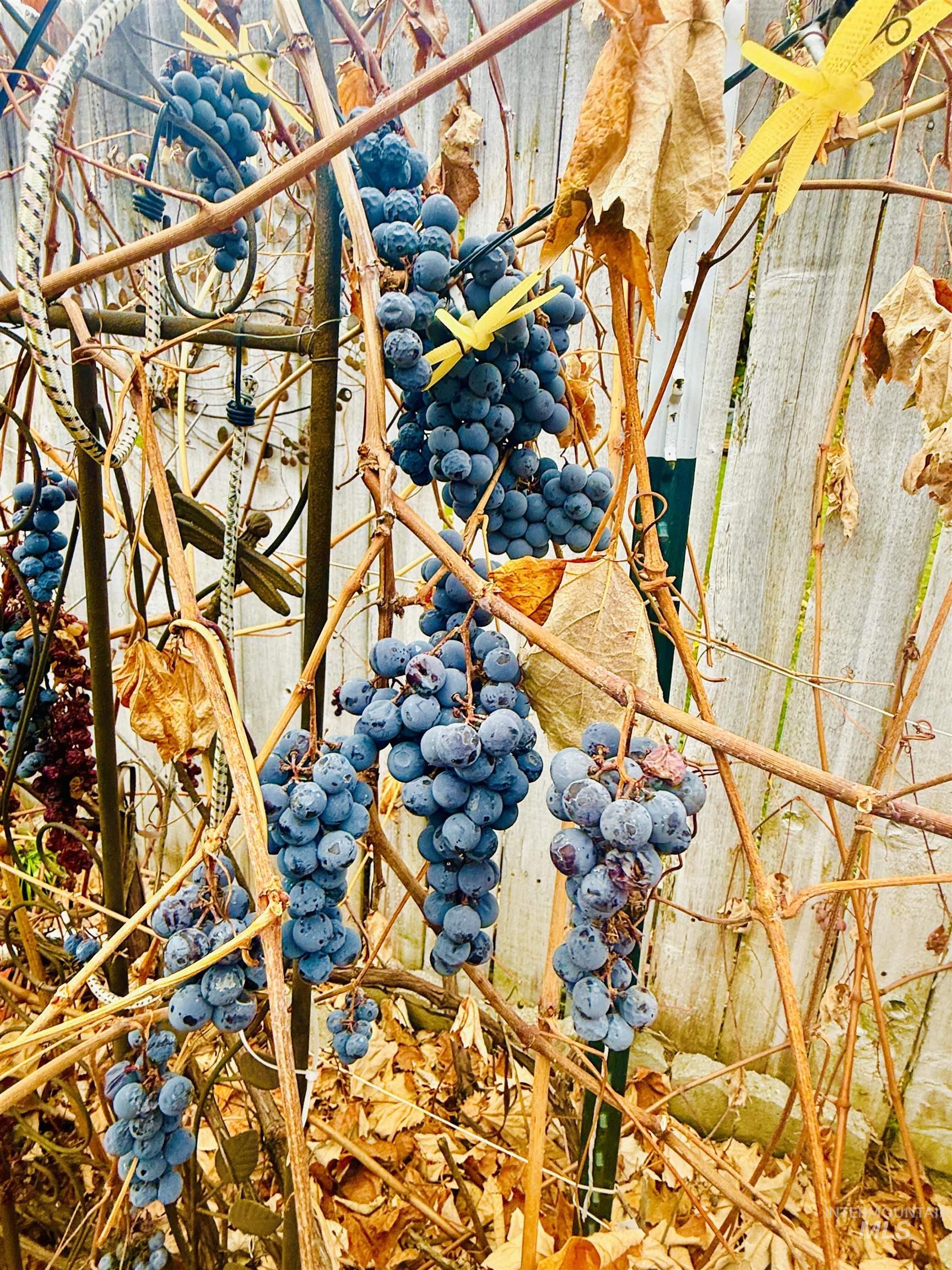 1730 Castle Way, Mountain Home, Idaho 83647, 3 Bedrooms, 2.5 Bathrooms, Residential For Sale, Price $389,900, 98961272