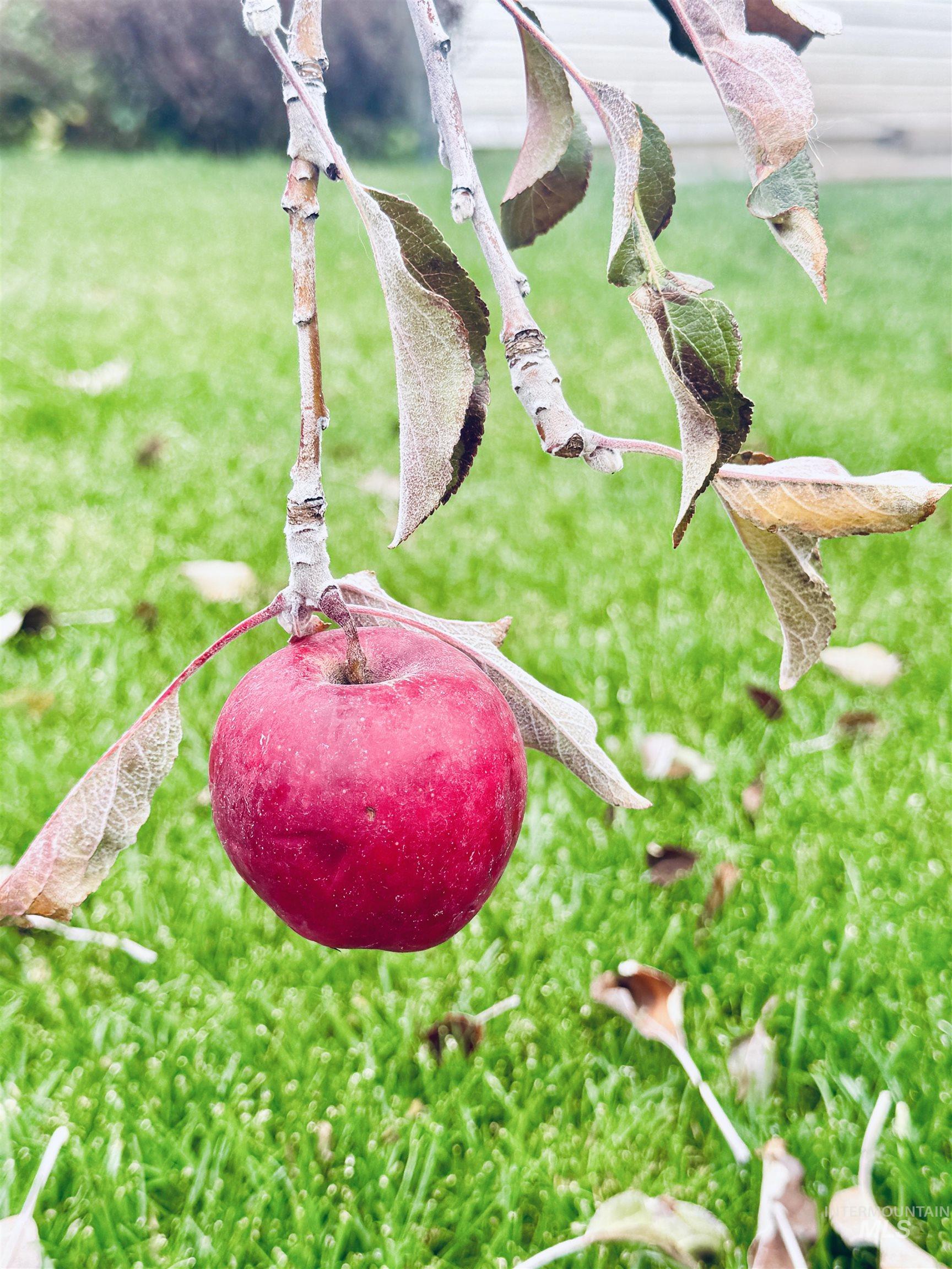 1730 Castle Way, Mountain Home, Idaho 83647, 3 Bedrooms, 2.5 Bathrooms, Residential For Sale, Price $389,900, 98961272