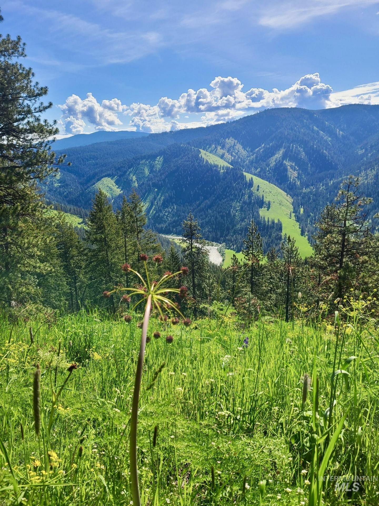 929 Mt. Idaho Grade Rd, Grangeville, Idaho 83530, 4 Bedrooms, 2 Bathrooms, Residential For Sale, Price $839,000, 98961614