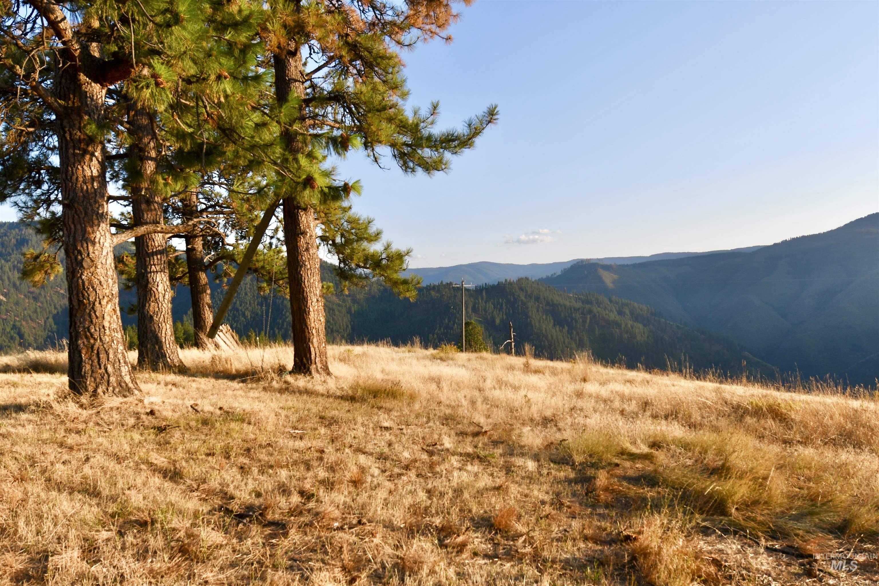 929 Mt. Idaho Grade Rd, Grangeville, Idaho 83530, 4 Bedrooms, 2 Bathrooms, Residential For Sale, Price $839,000, 98961614
