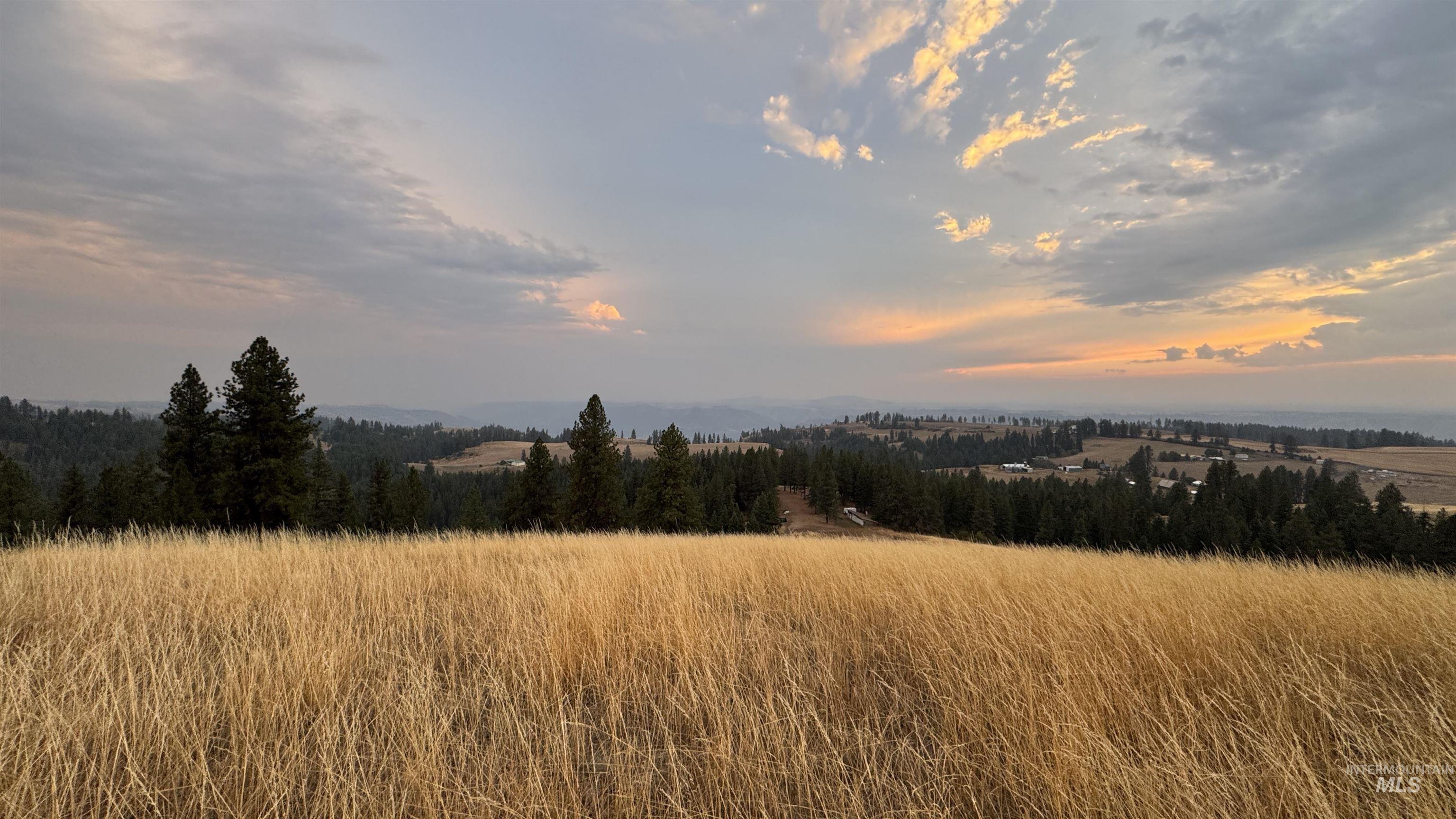 TBD Harrisburg, Kamiah, Idaho 83536, Land For Sale, Price $374,000,MLS 98961836