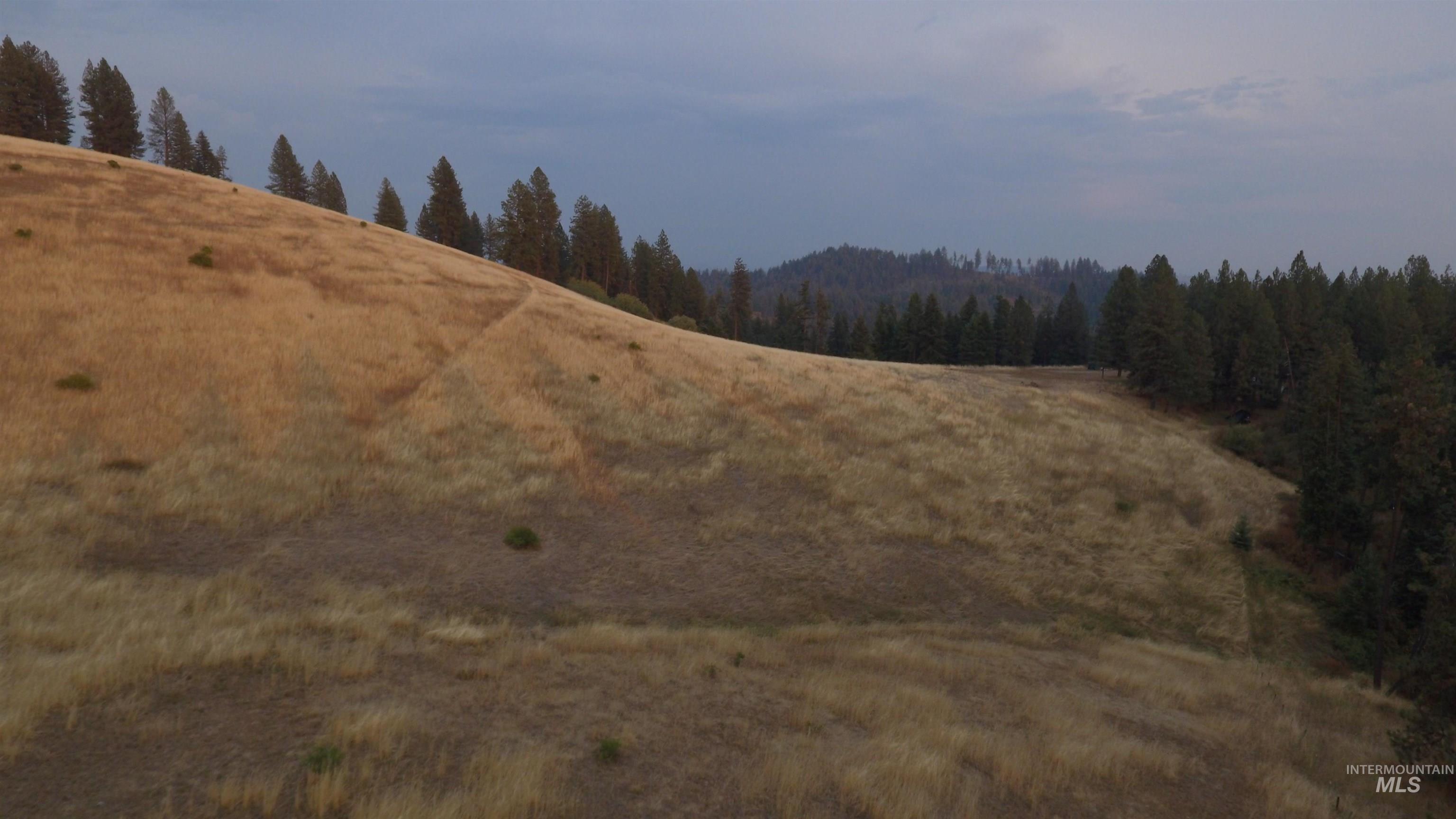 TBD Harrisburg, Kamiah, Idaho 83536, Land For Sale, Price $374,000,MLS 98961836