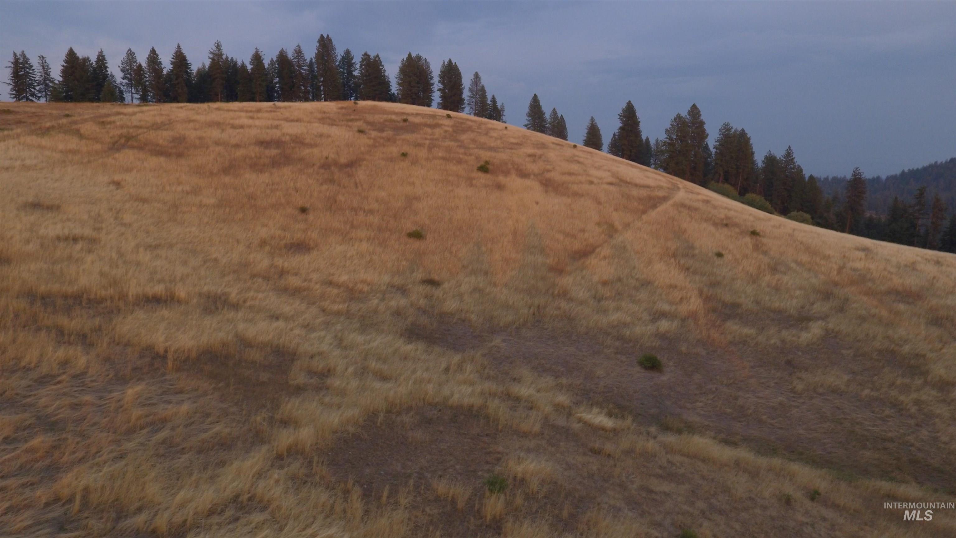 TBD Harrisburg, Kamiah, Idaho 83536, Land For Sale, Price $374,000,MLS 98961836