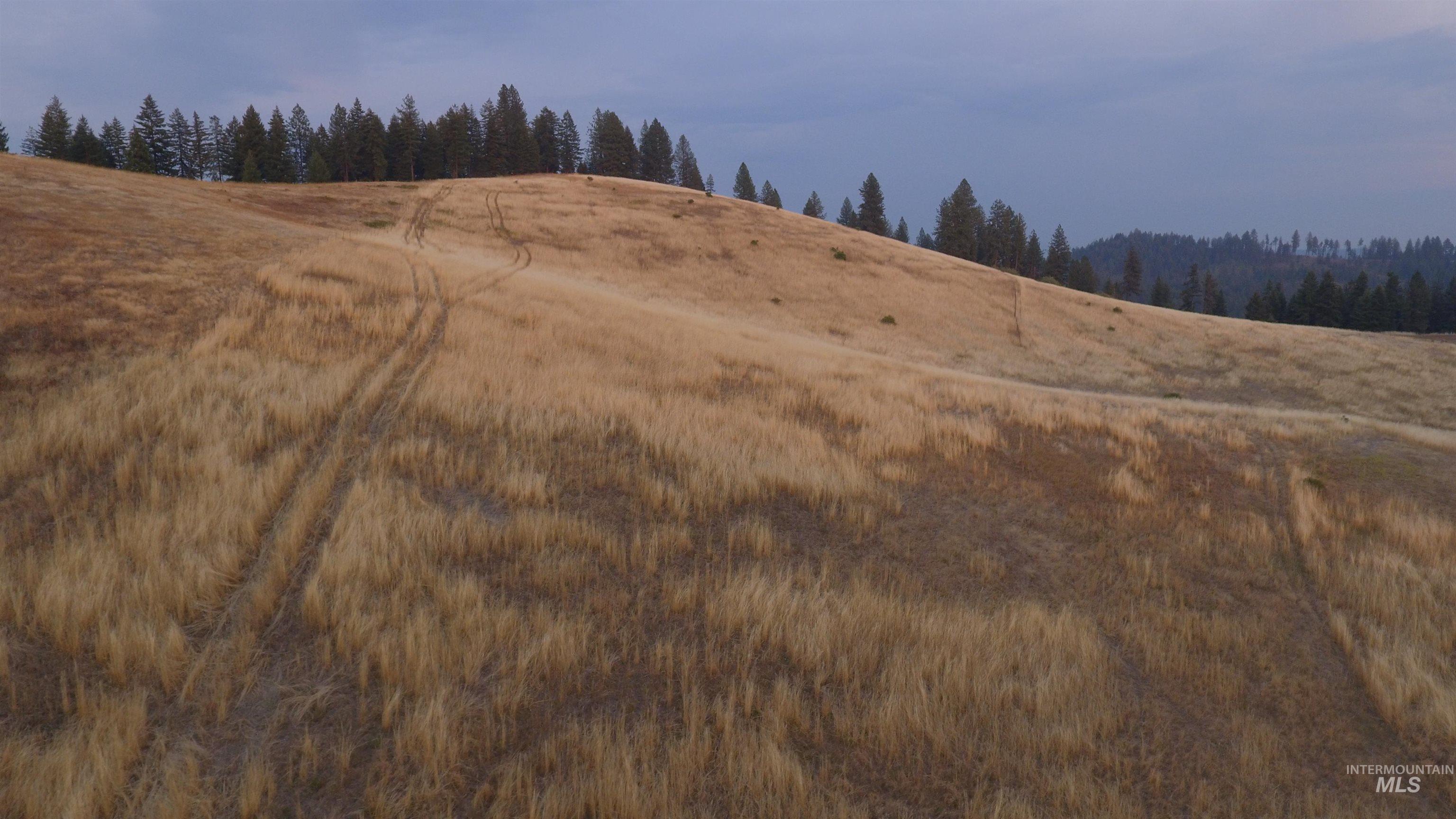 TBD Harrisburg, Kamiah, Idaho 83536, Land For Sale, Price $374,000,MLS 98961836