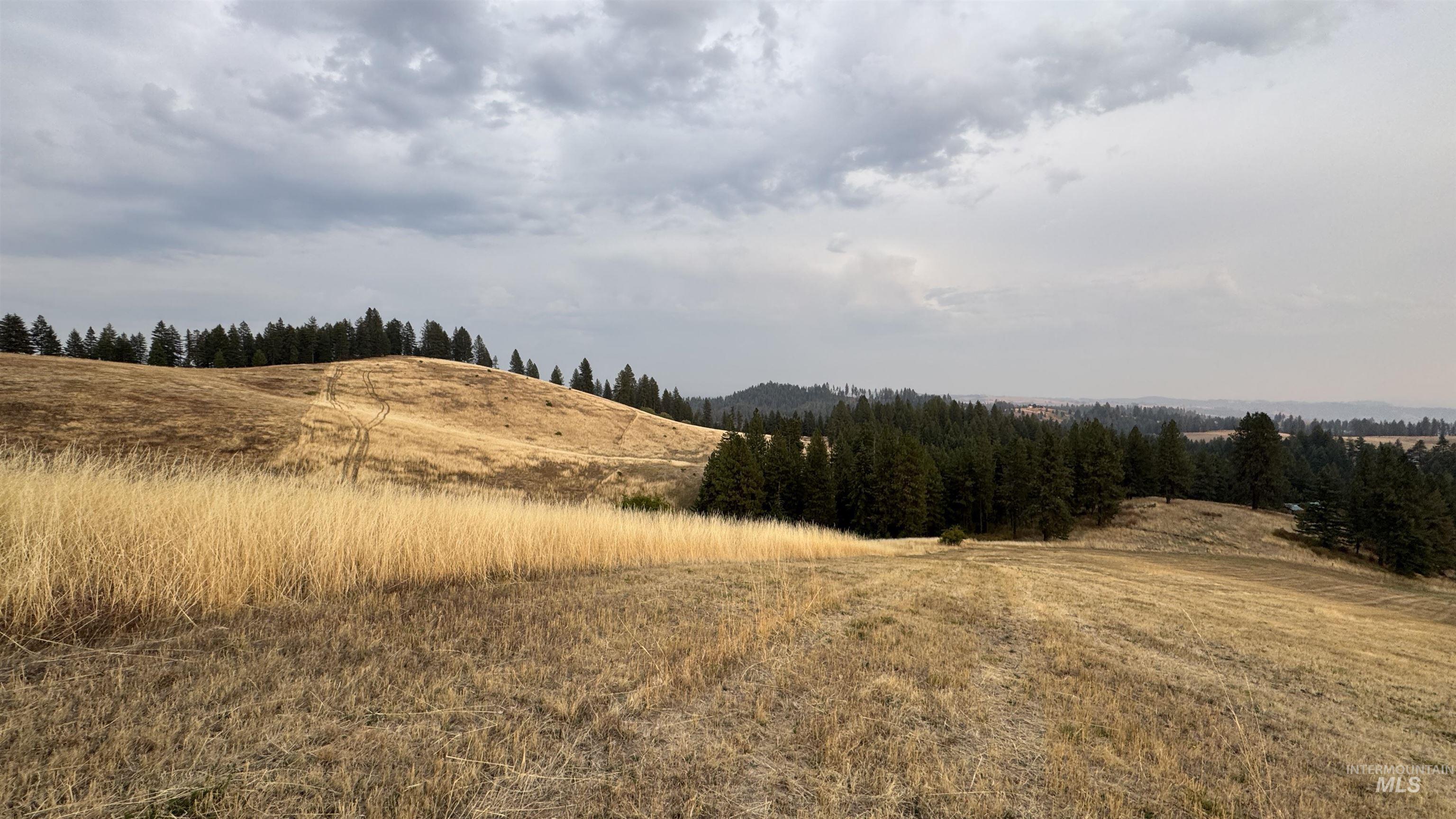 TBD Harrisburg, Kamiah, Idaho 83536, Land For Sale, Price $374,000,MLS 98961836