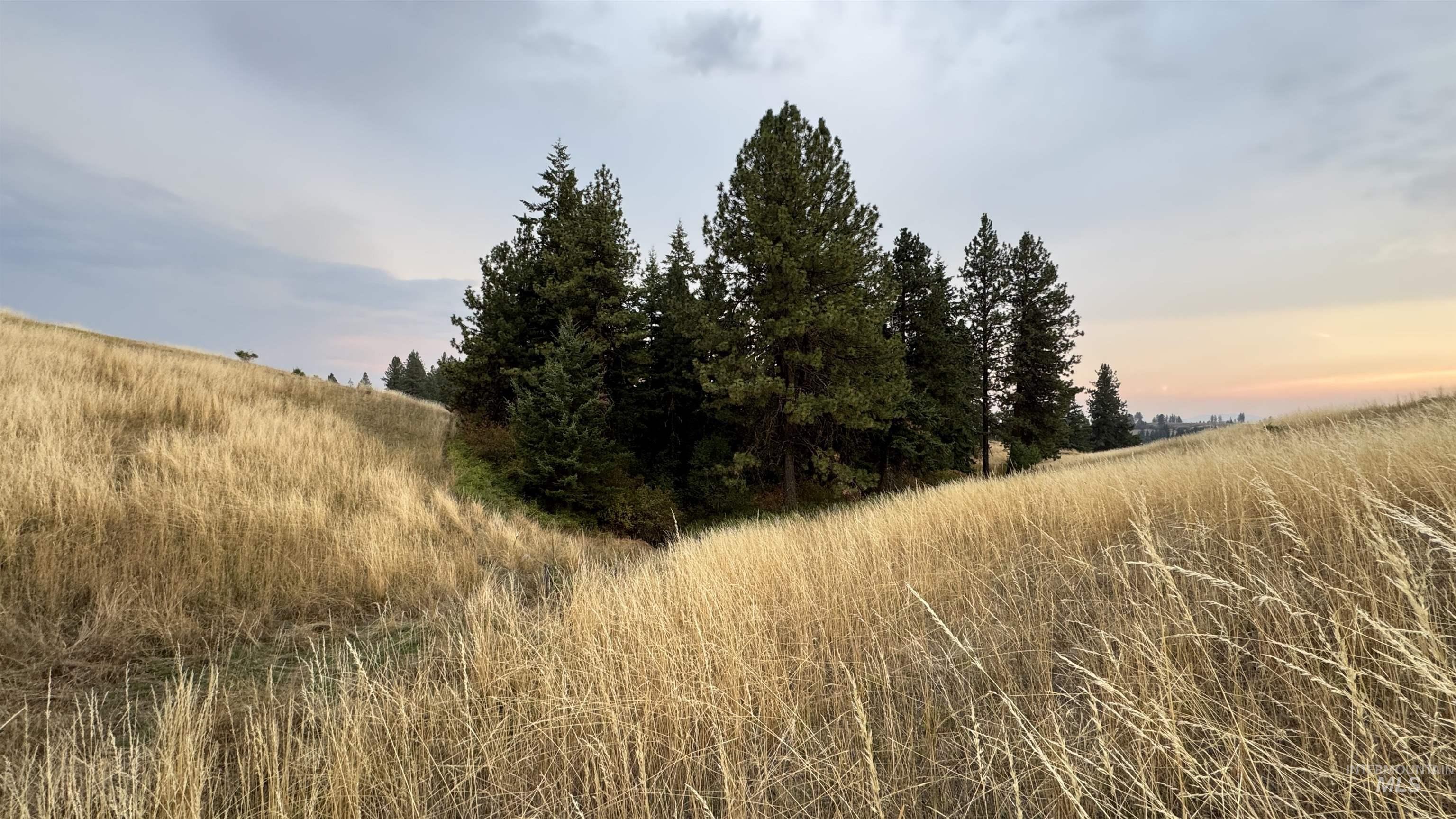 TBD Harrisburg, Kamiah, Idaho 83536, Land For Sale, Price $374,000,MLS 98961836