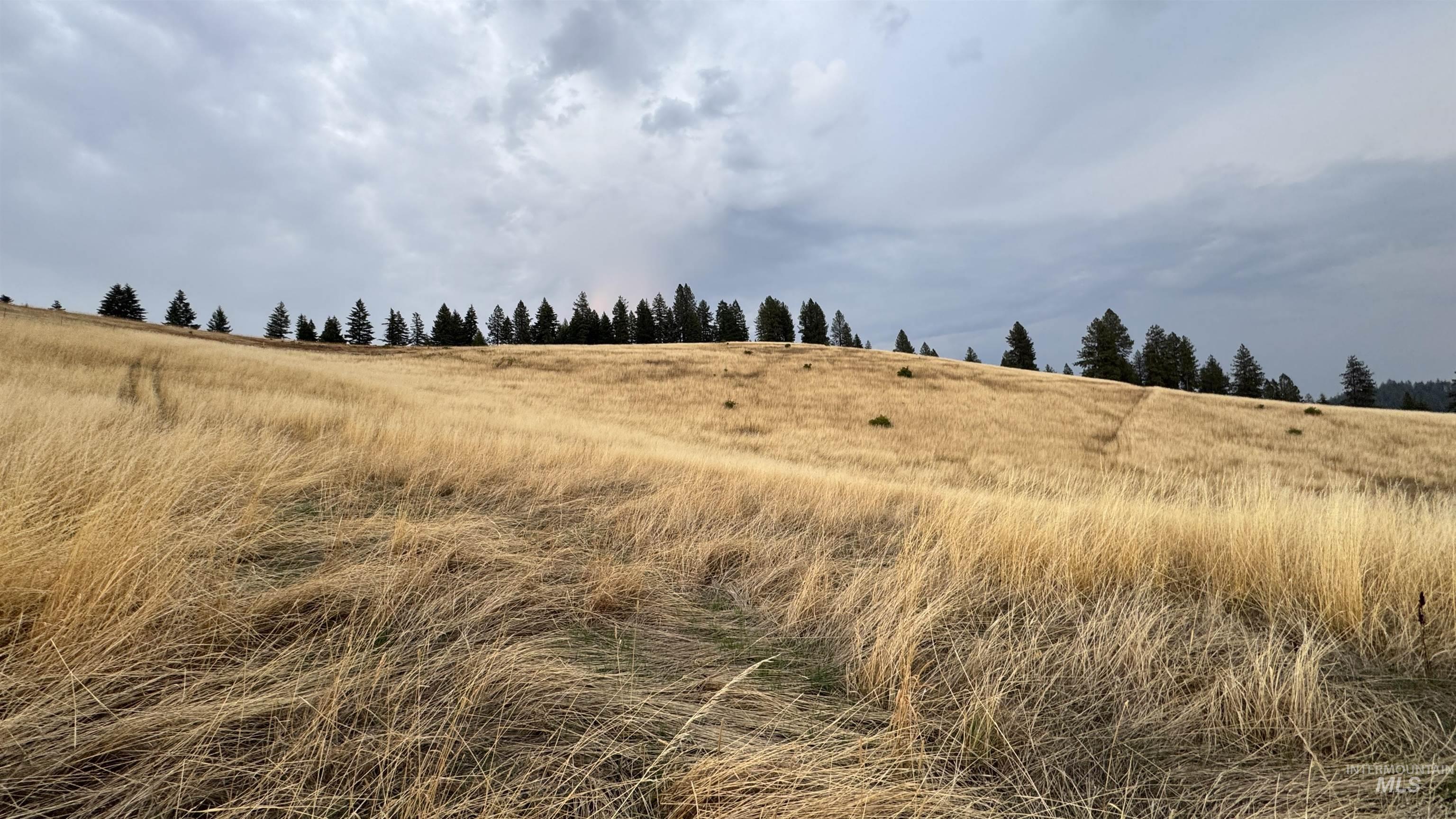 TBD Harrisburg, Kamiah, Idaho 83536, Land For Sale, Price $374,000,MLS 98961836