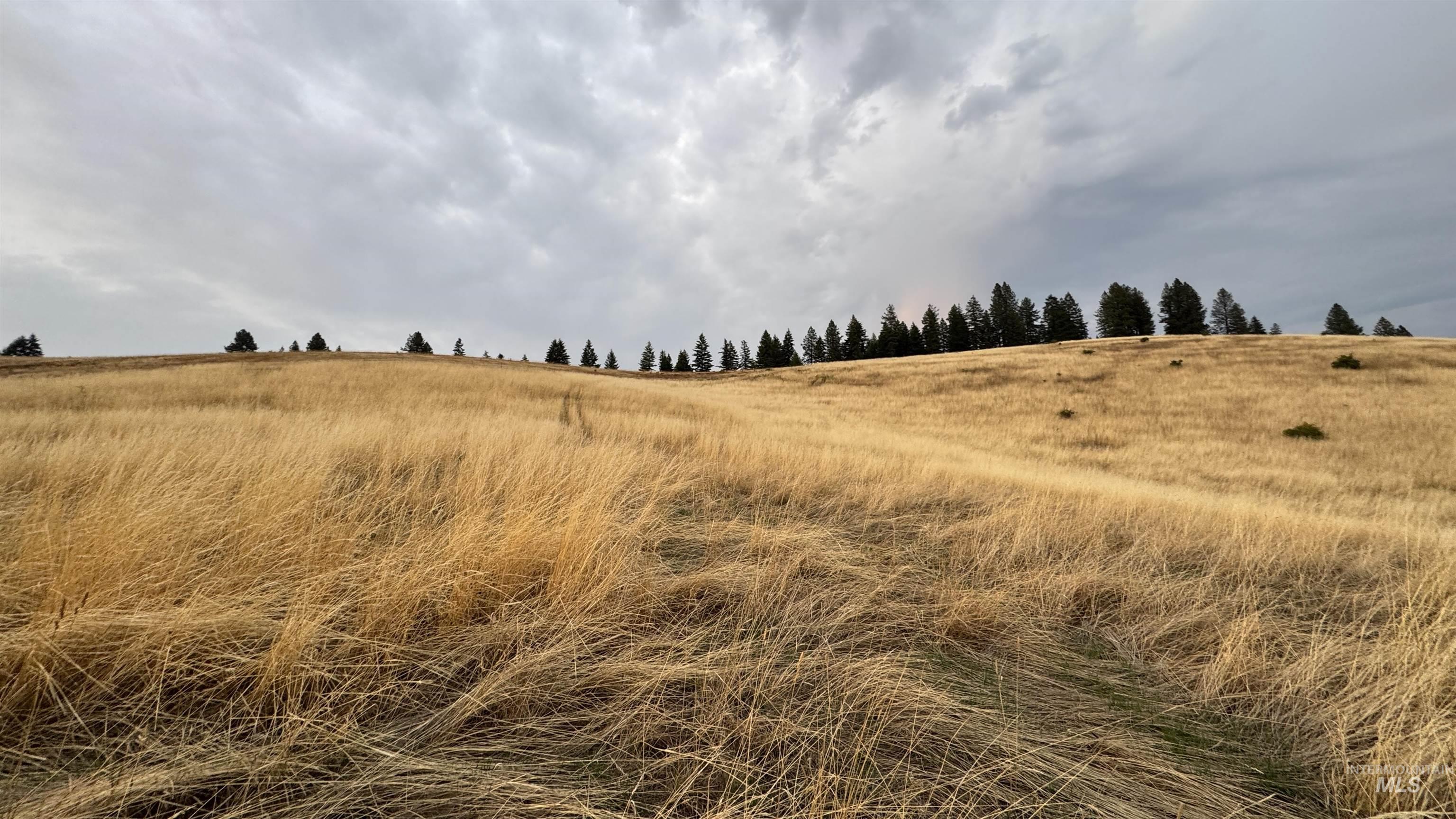 TBD Harrisburg, Kamiah, Idaho 83536, Land For Sale, Price $374,000,MLS 98961836