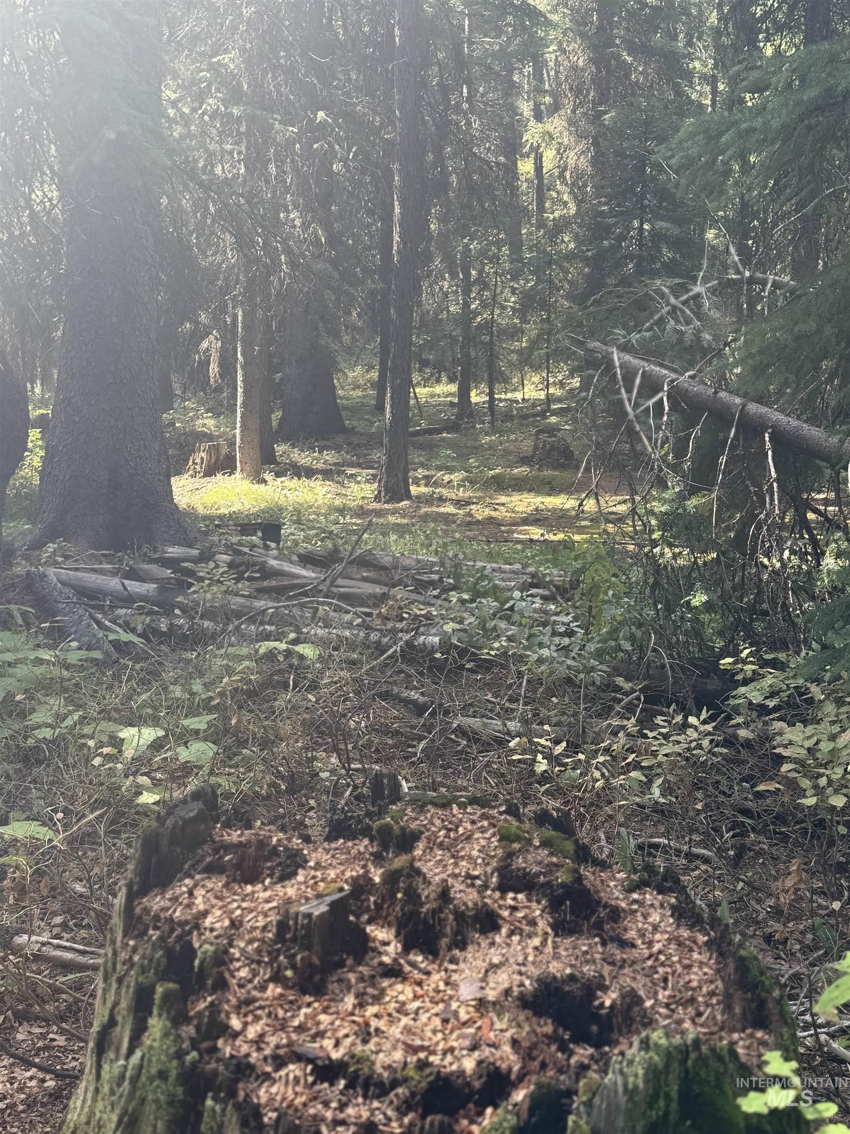 2325 West Mountain Road, Donnelly, Idaho 83615, Land For Sale, Price $249,000, 98961864