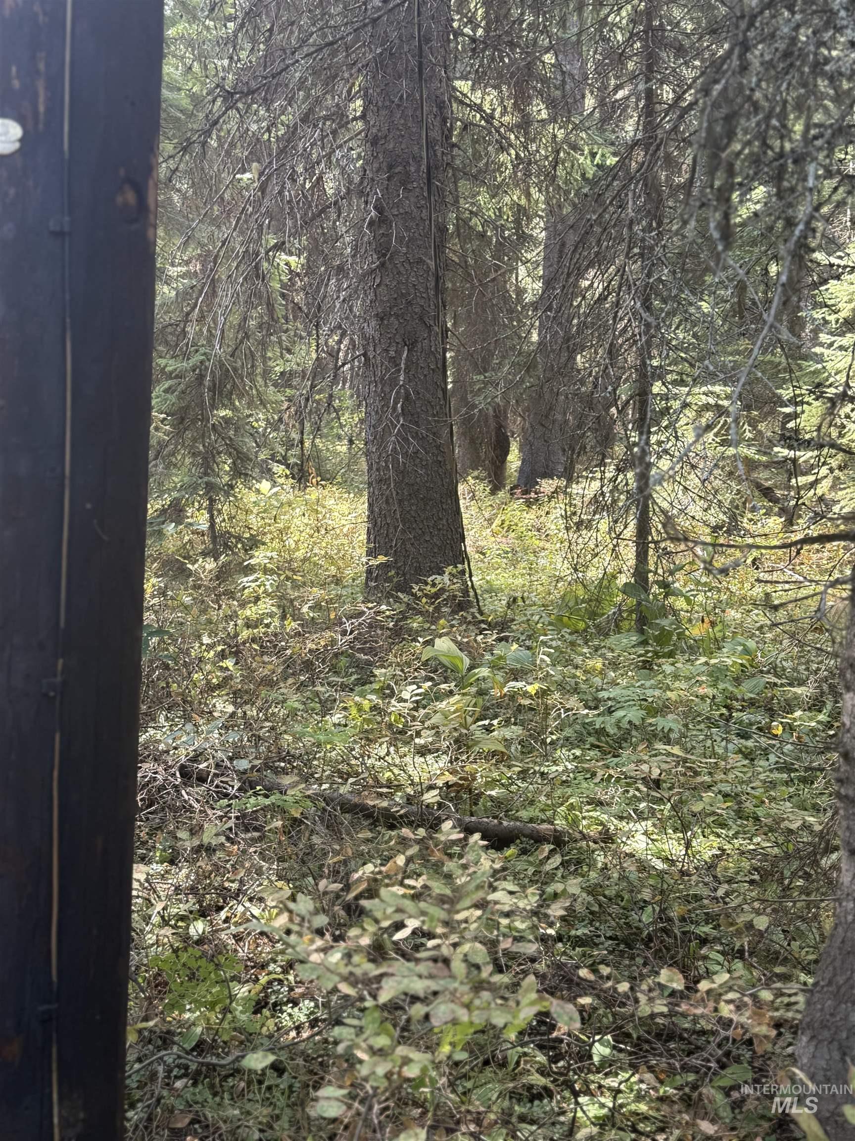 2325 West Mountain Road, Donnelly, Idaho 83615, Land For Sale, Price $249,000, 98961864