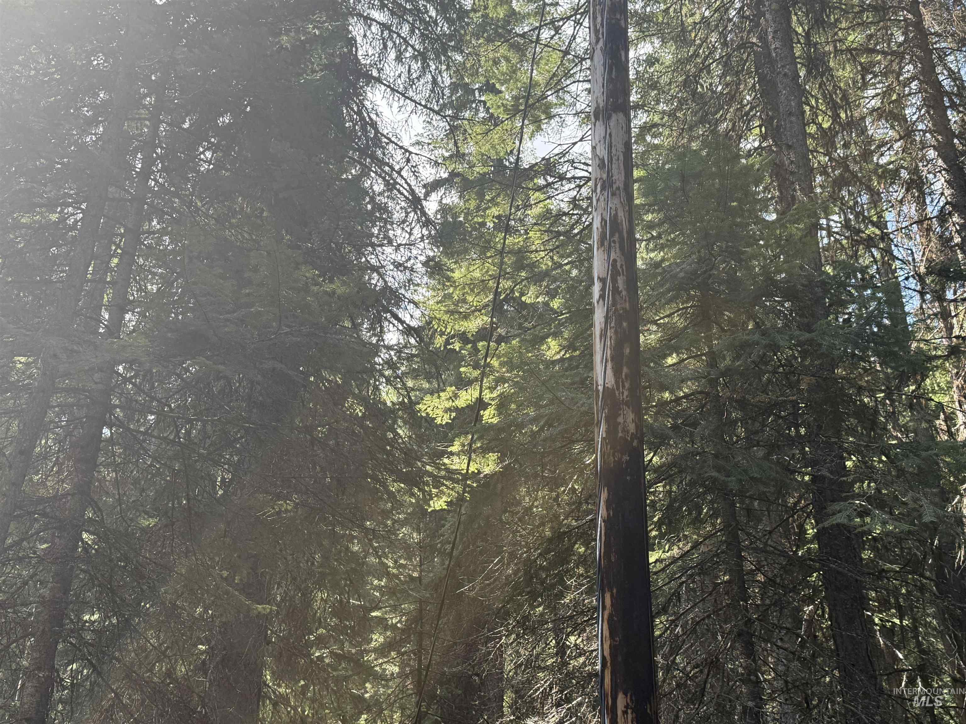 2325 West Mountain Road, Donnelly, Idaho 83615, Land For Sale, Price $249,000, 98961864