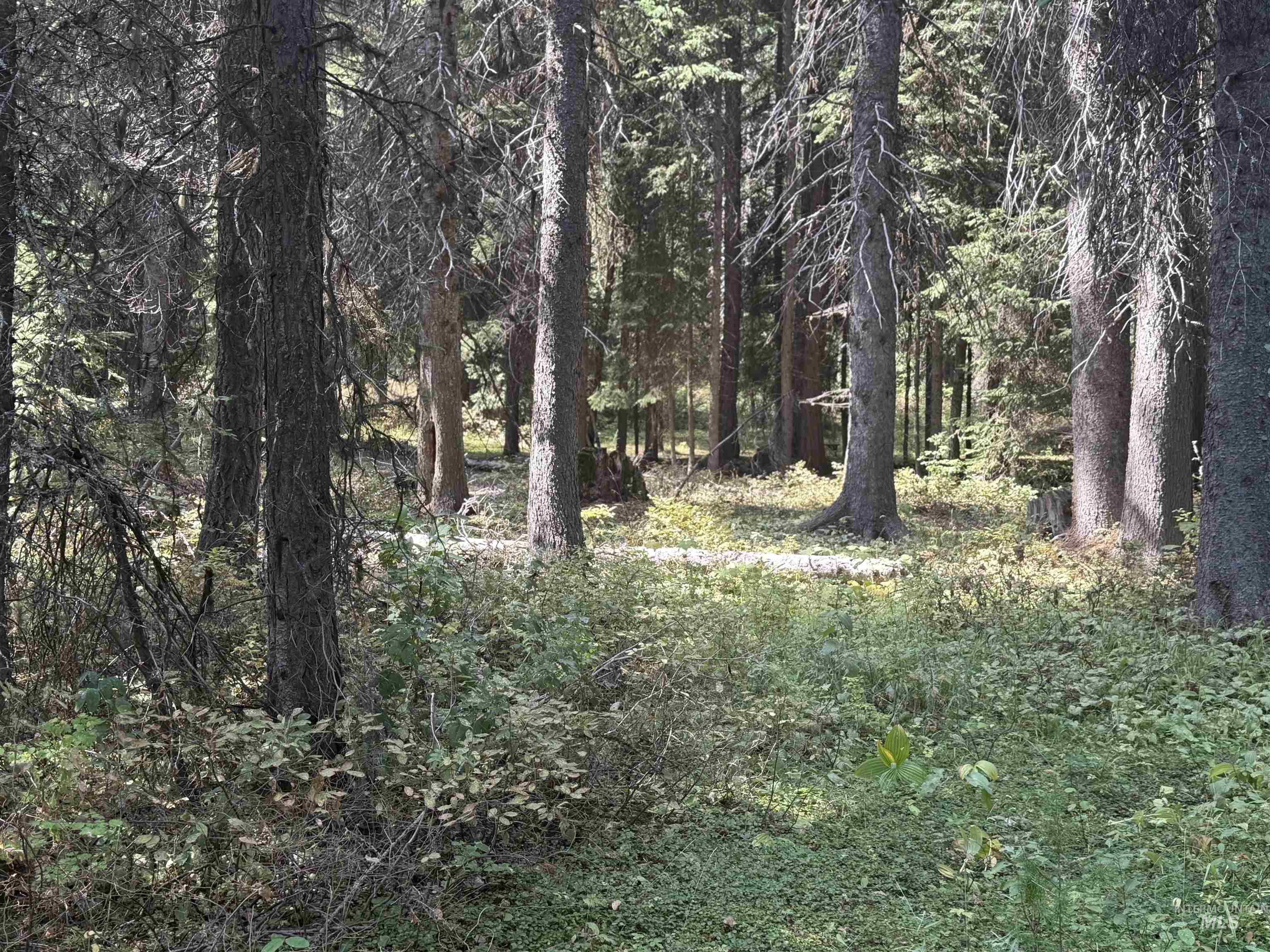 2325 West Mountain Road, Donnelly, Idaho 83615, Land For Sale, Price $249,000, 98961864