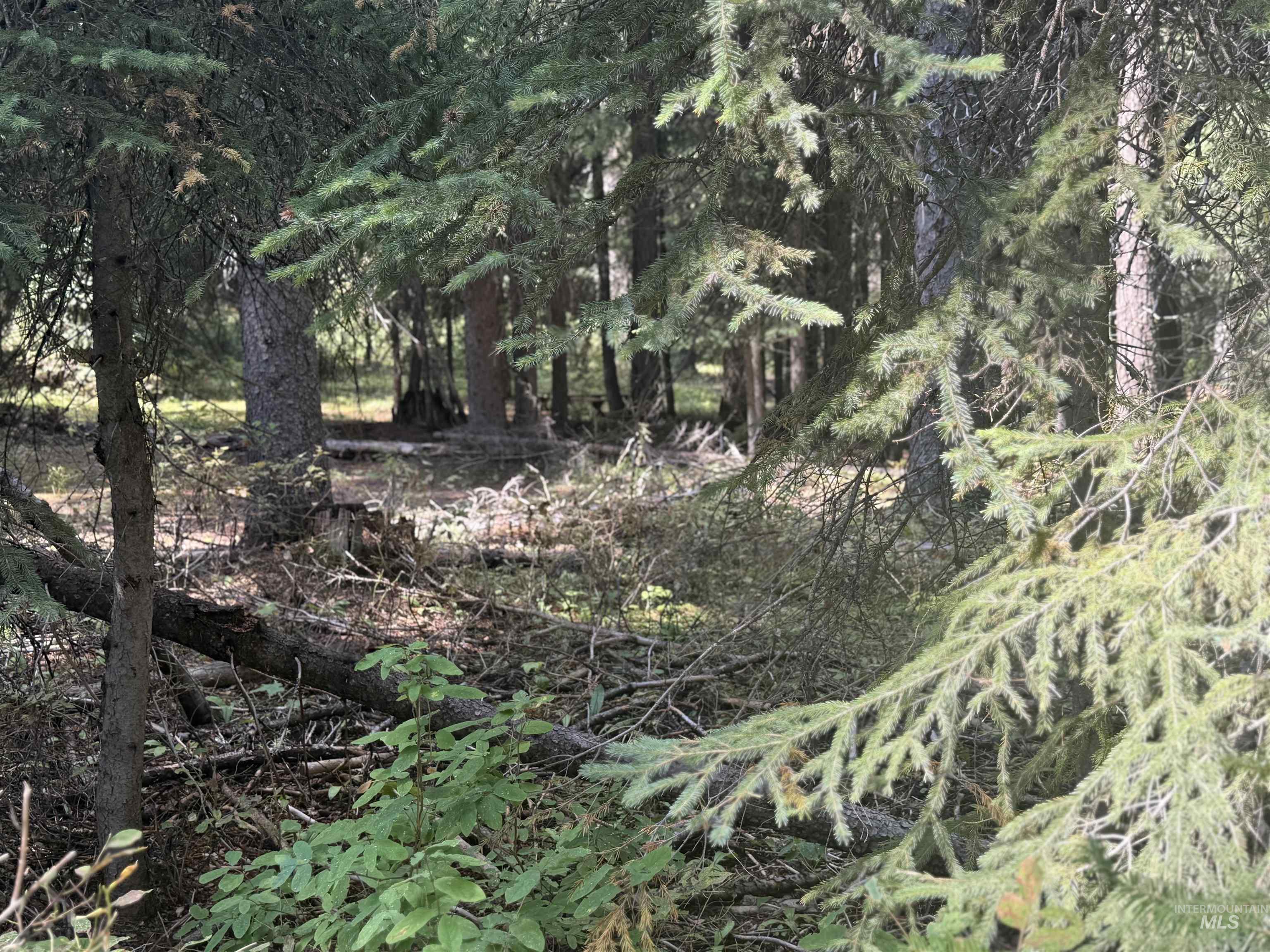 2325 West Mountain Road, Donnelly, Idaho 83615, Land For Sale, Price $249,000, 98961864