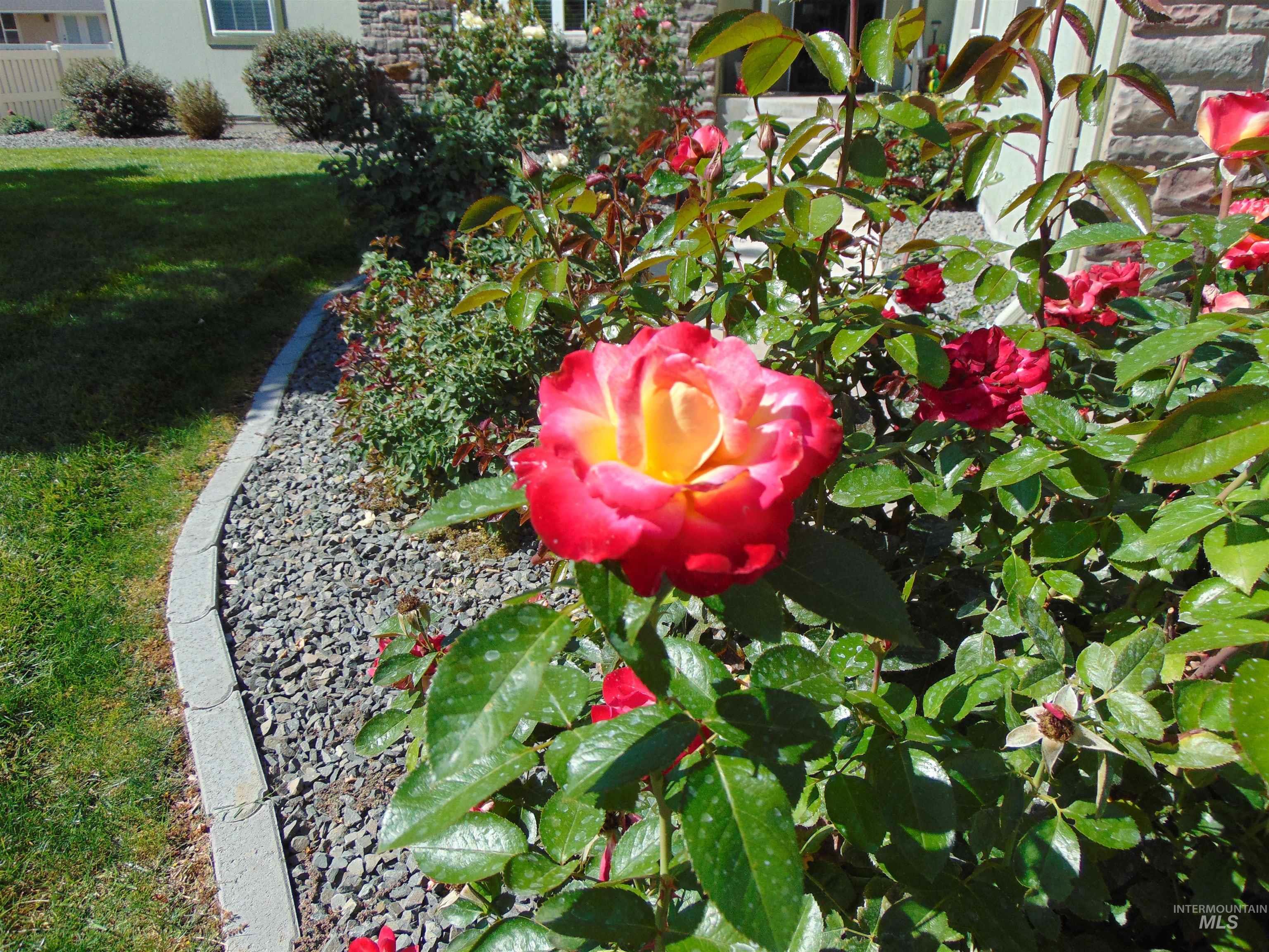 2543 Lauren Dr., Ontario, Oregon 97914, 4 Bedrooms, 2.5 Bathrooms, Residential For Sale, Price $511,000, 98961942