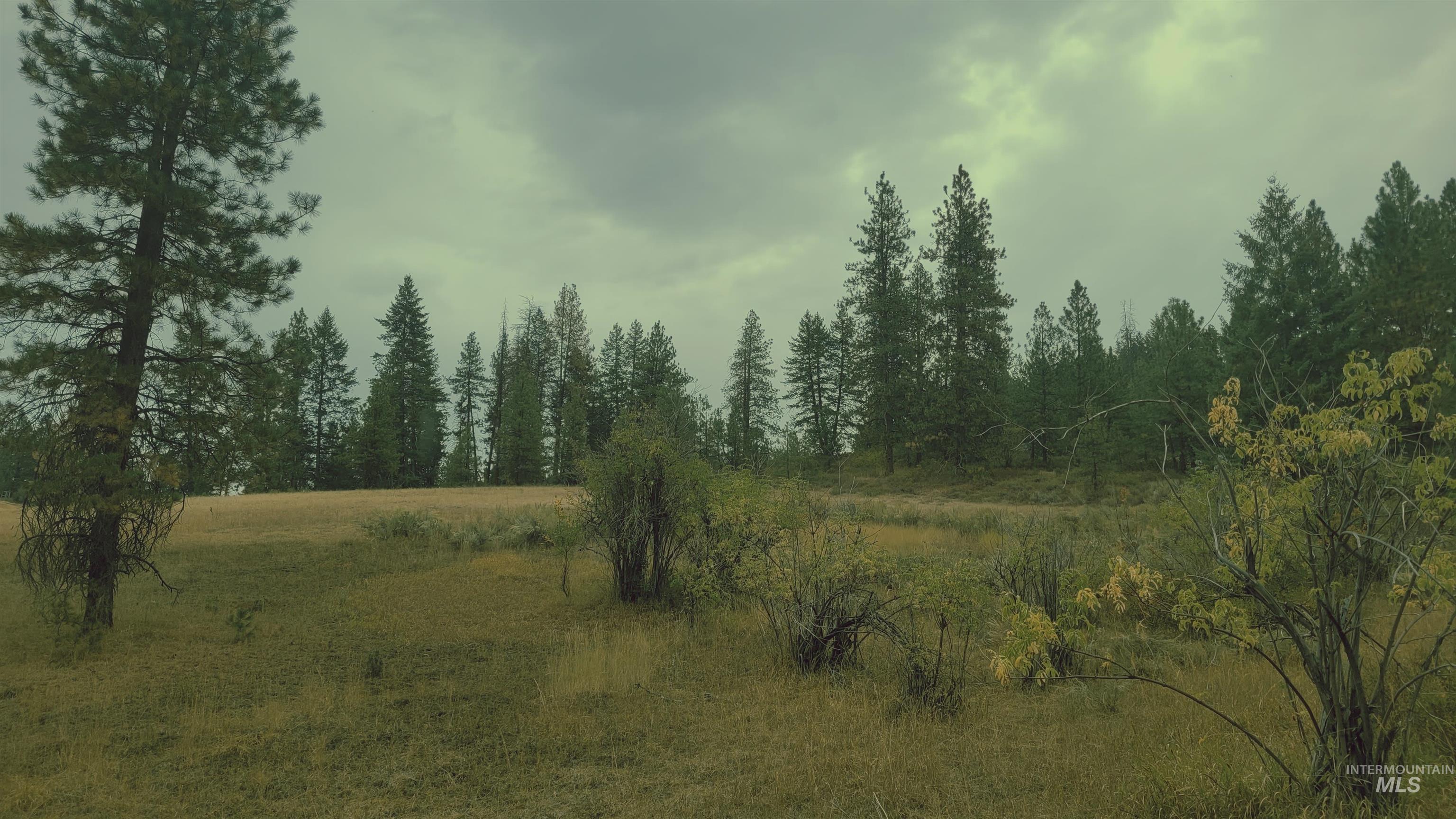 TBD Adams County, Council, Idaho 83612, Land For Sale, Price $299,000, 98962000