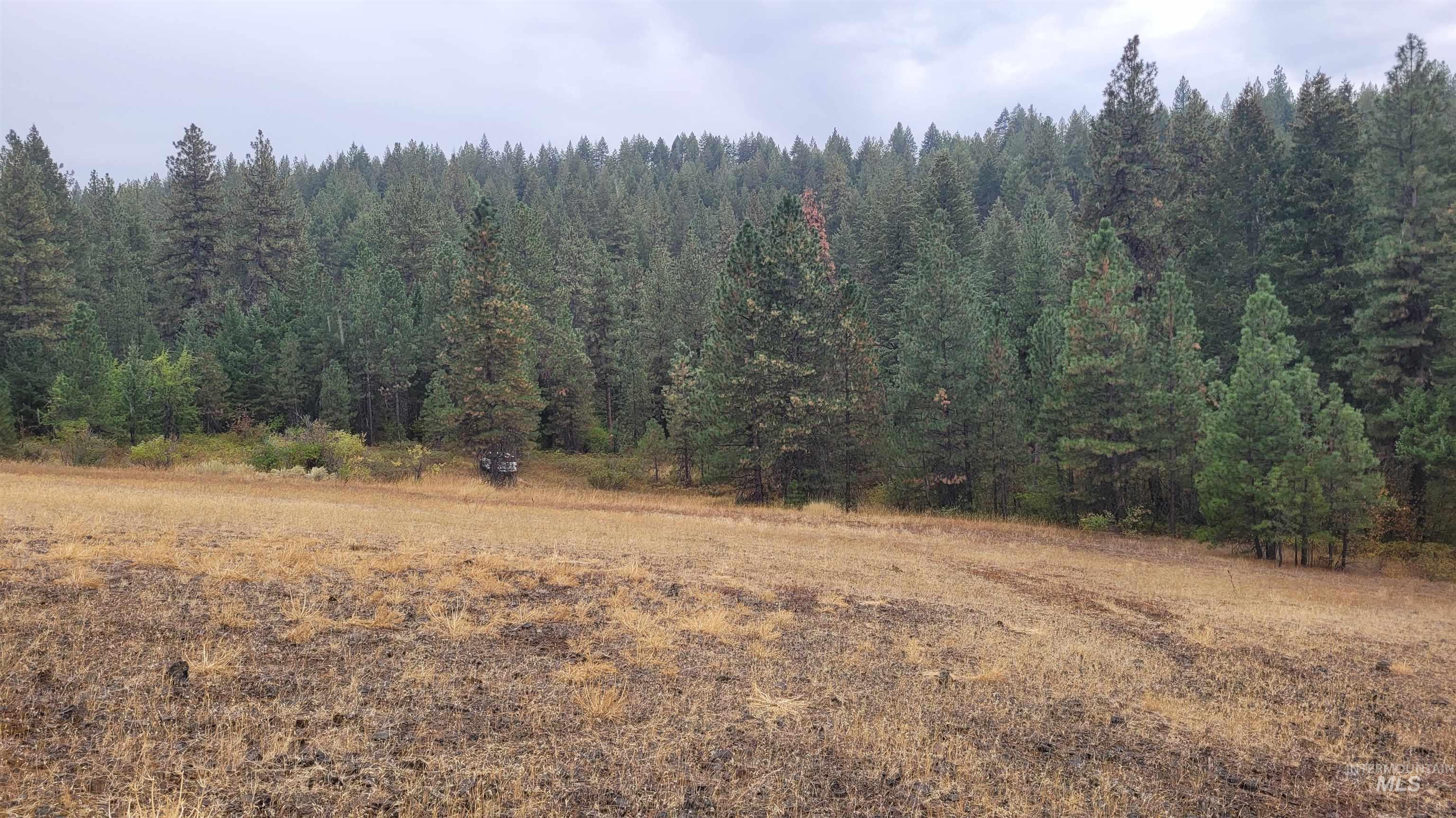 TBD Adams County, Council, Idaho 83612, Land For Sale, Price $299,000, 98962000