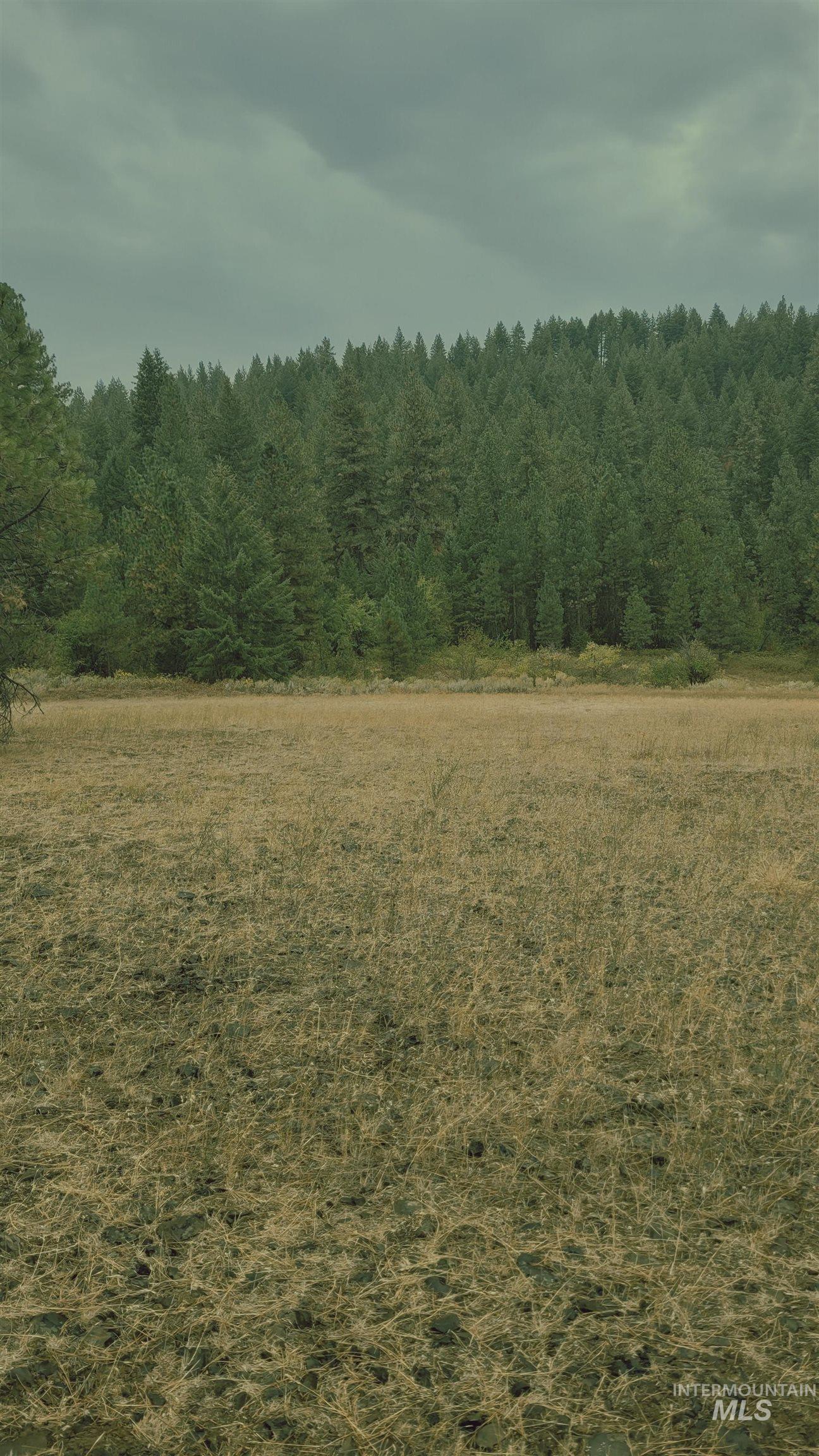 TBD Adams County, Council, Idaho 83612, Land For Sale, Price $299,000, 98962000