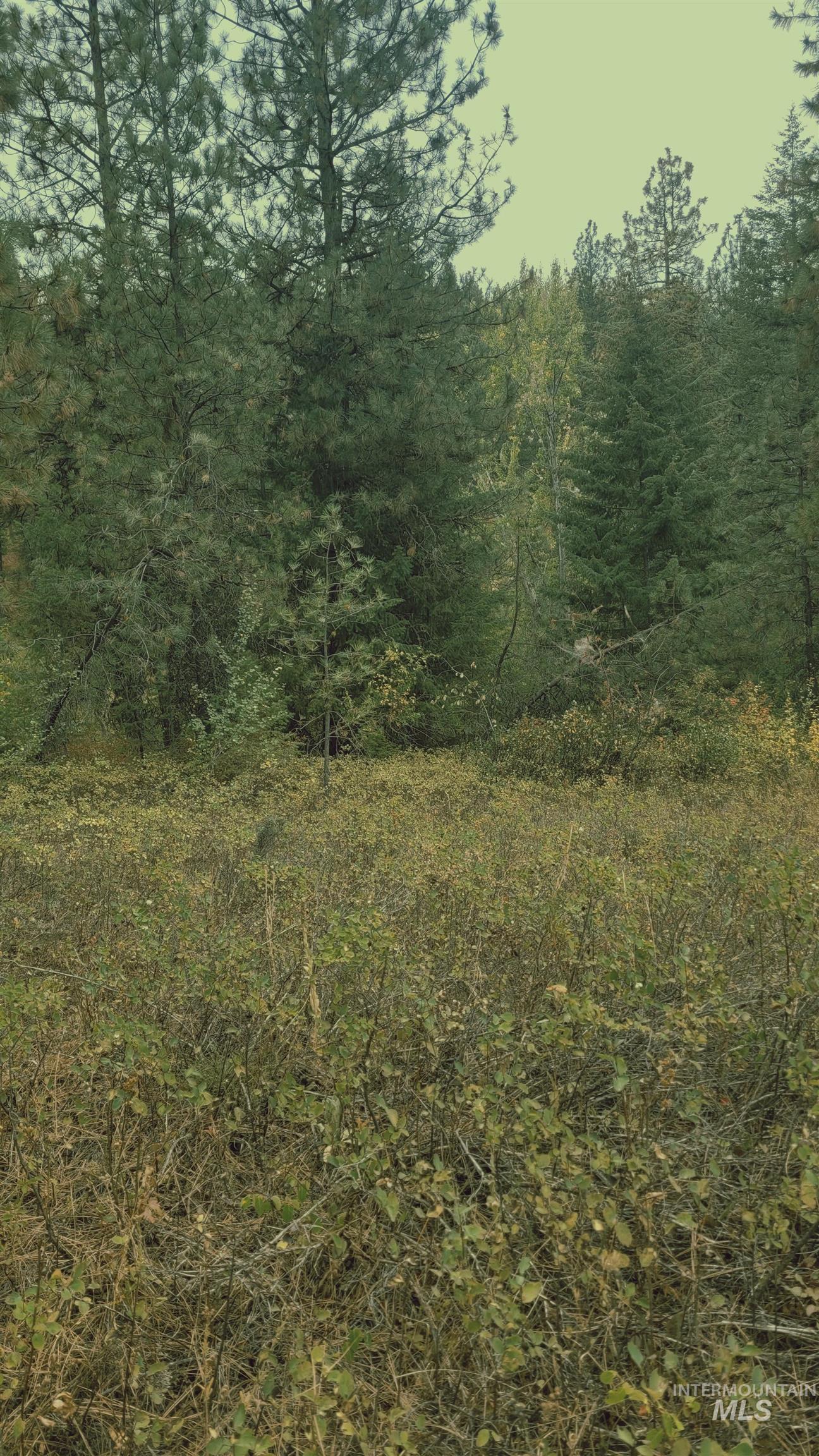 TBD Adams County, Council, Idaho 83612, Land For Sale, Price $299,000, 98962000